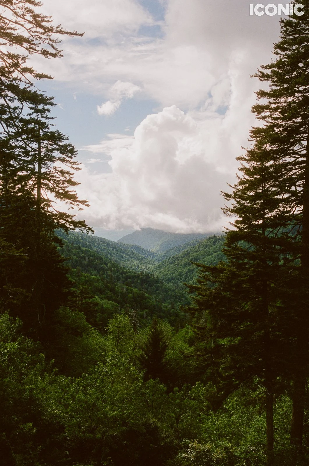 PHOTO BY
Anna Leonidov
.
