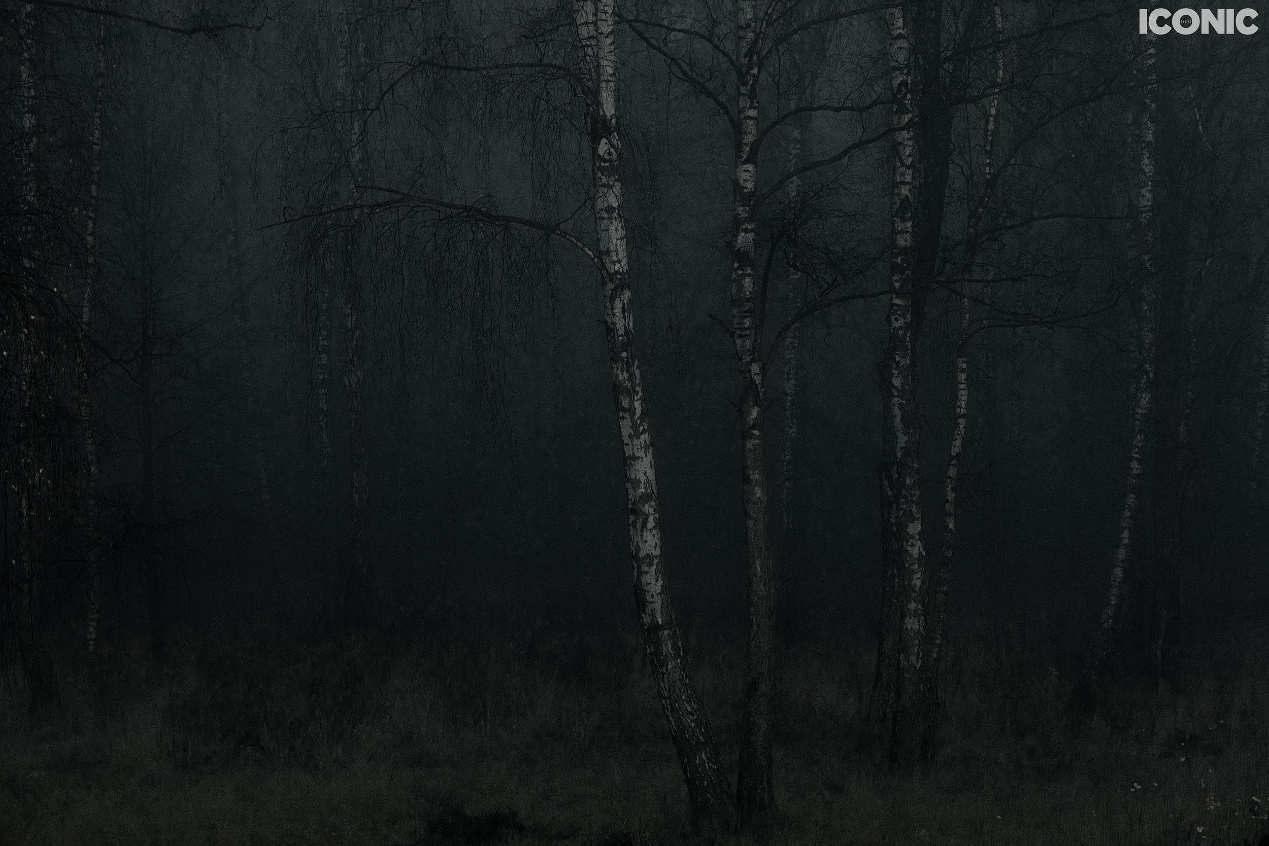 PHOTO BY
Ekaterina Kott
.