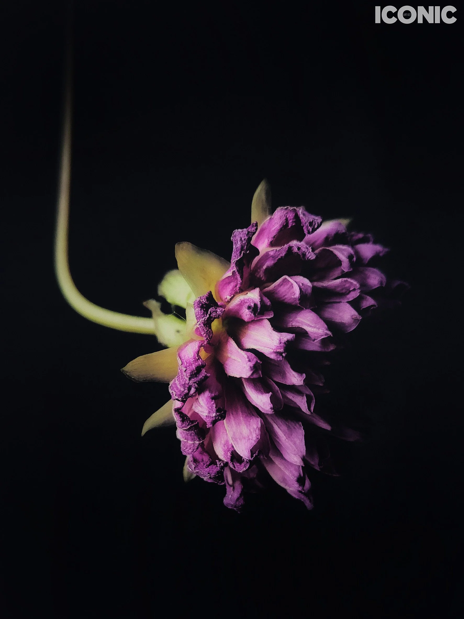 PHOTO BY
Aleksandra Kropivka
.