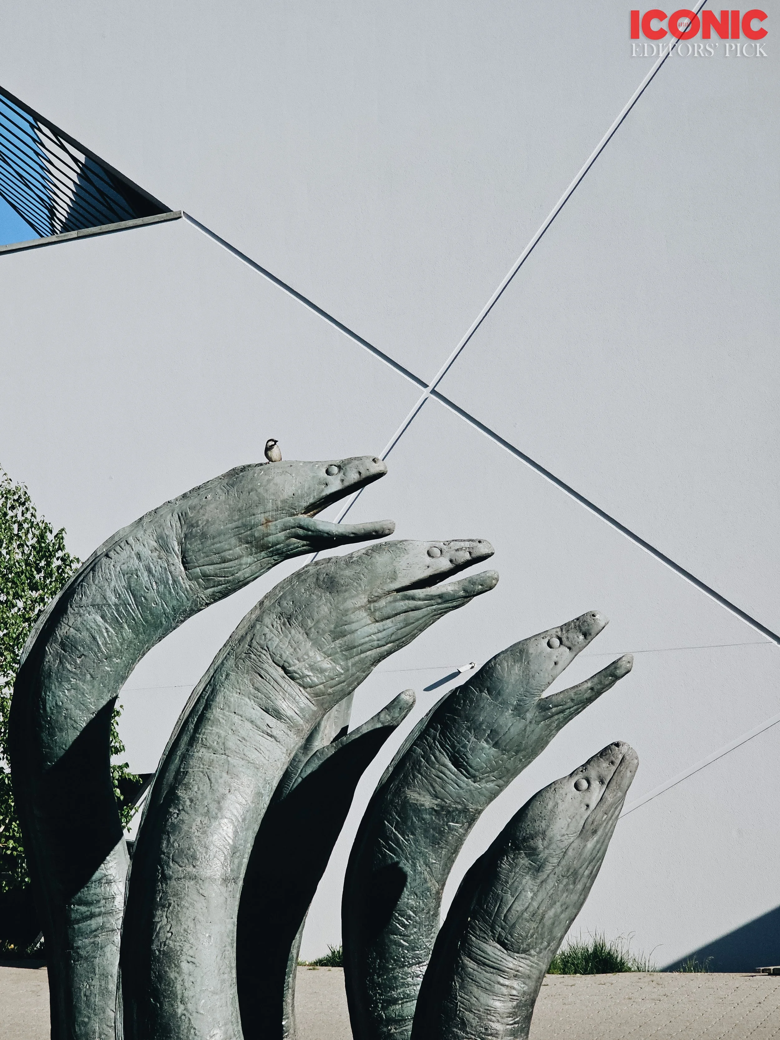 PHOTO BY
Olga Shishuk
.