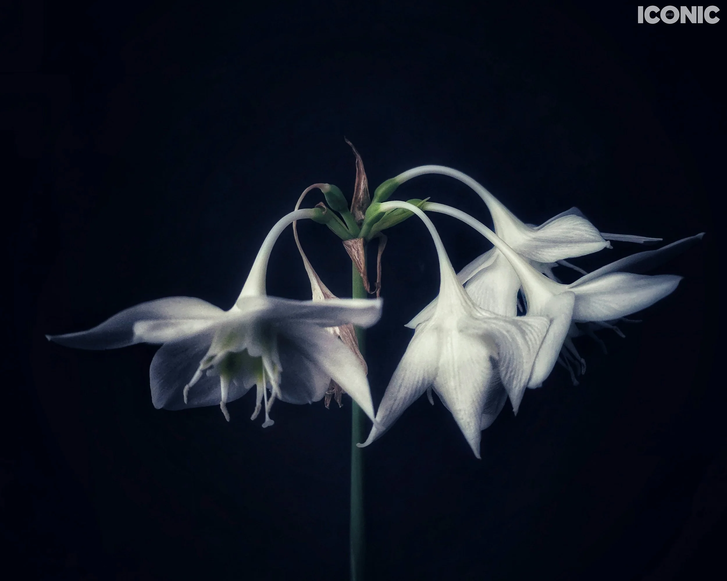 PHOTO BY
Aleksandra Kropivka
.