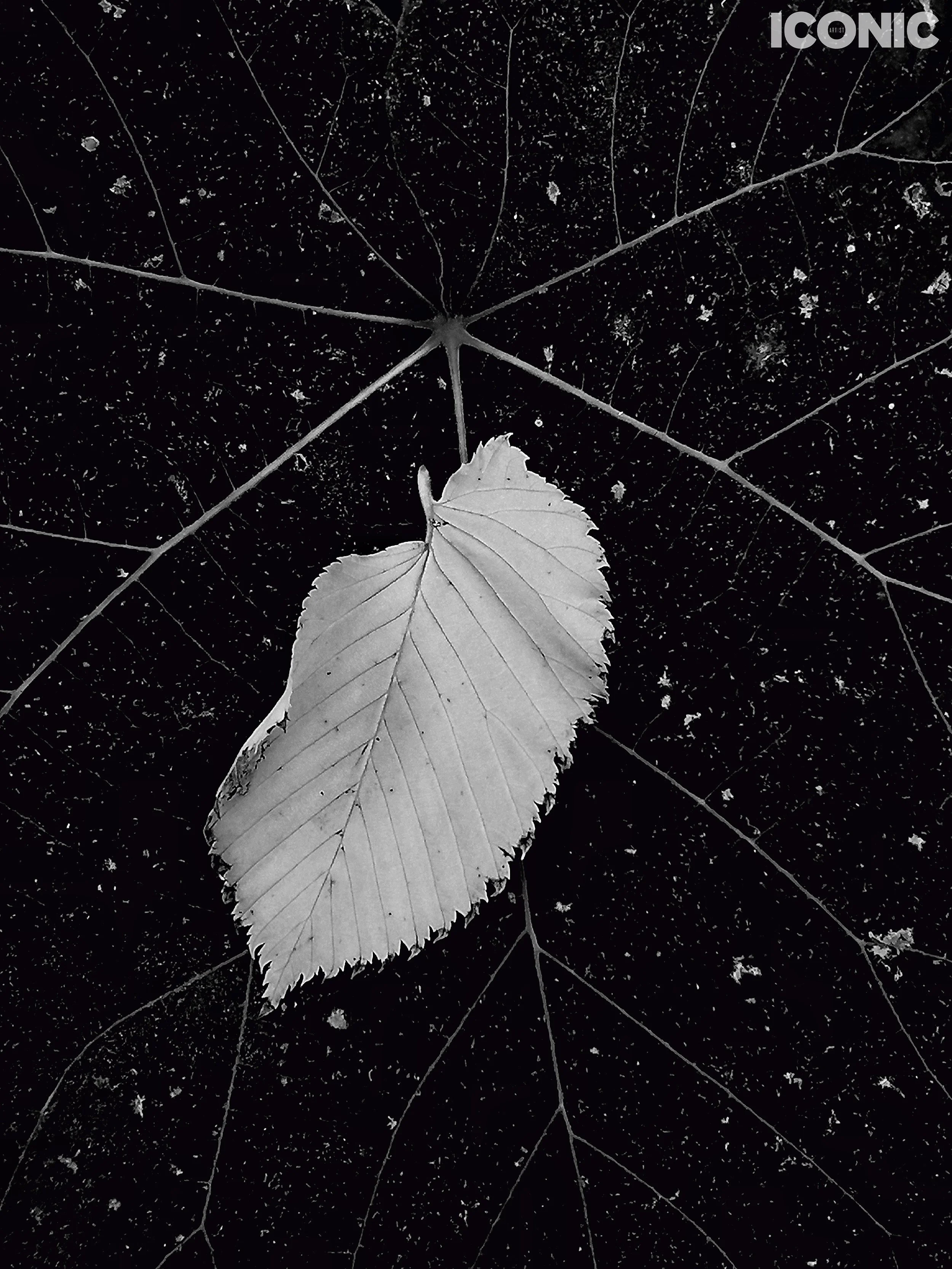 PHOTO BY
Natalia Soboleva
.