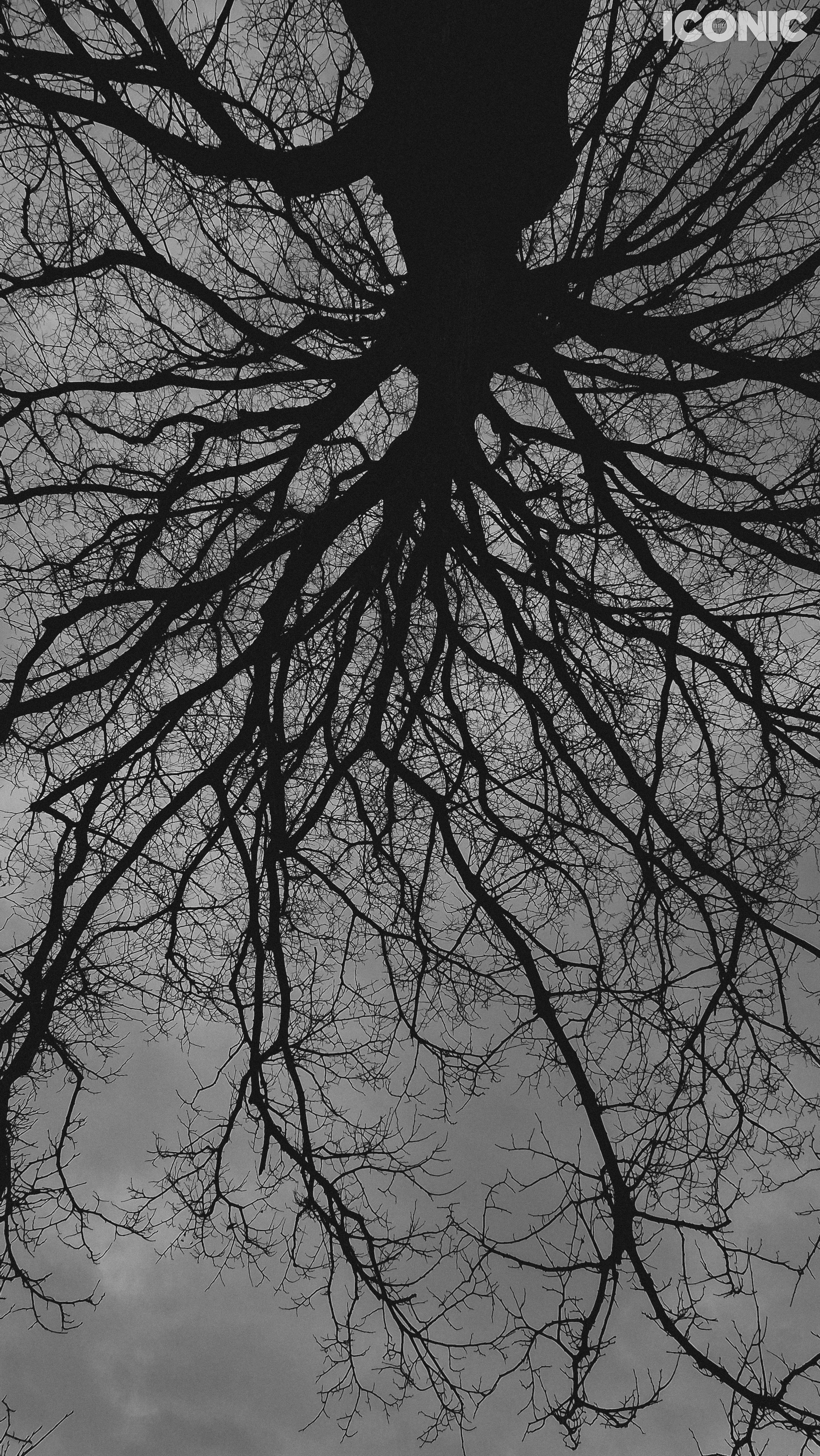 PHOTO BY
Evgeniia Razmakhnina
.