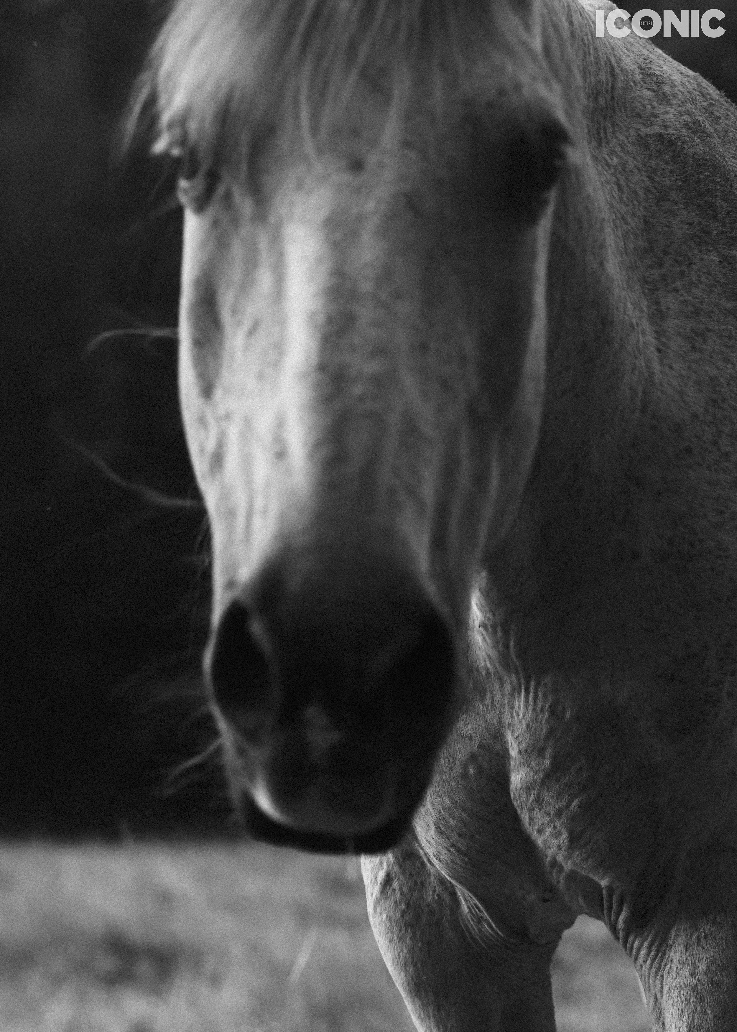 PHOTO BY
Ekaterina Koriakova
.