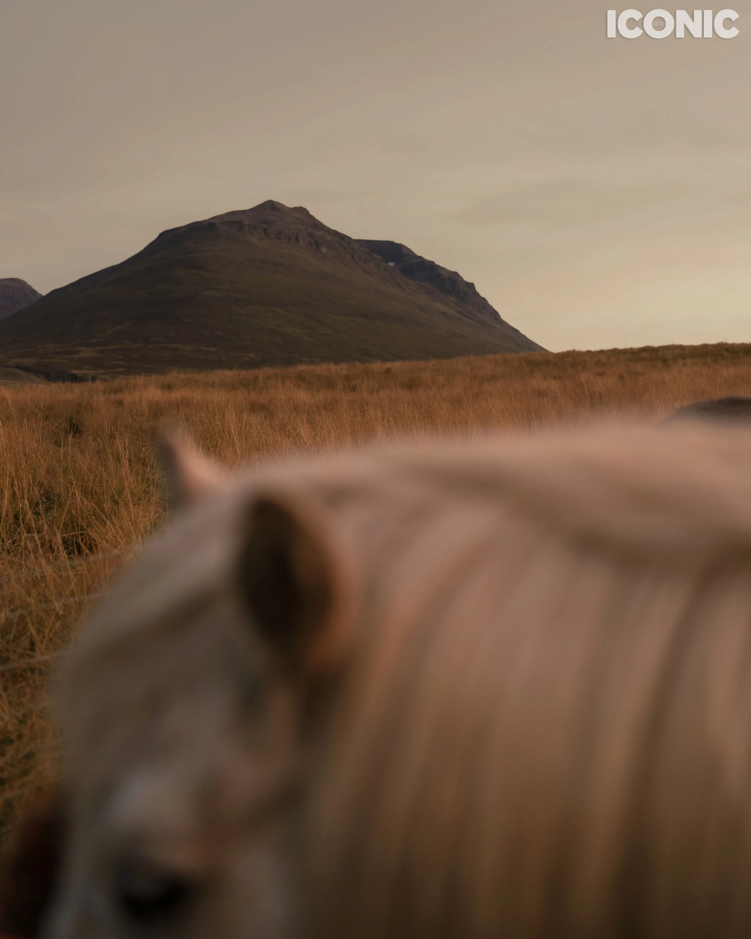 PHOTO BY
Ekaterina Koriakova
.