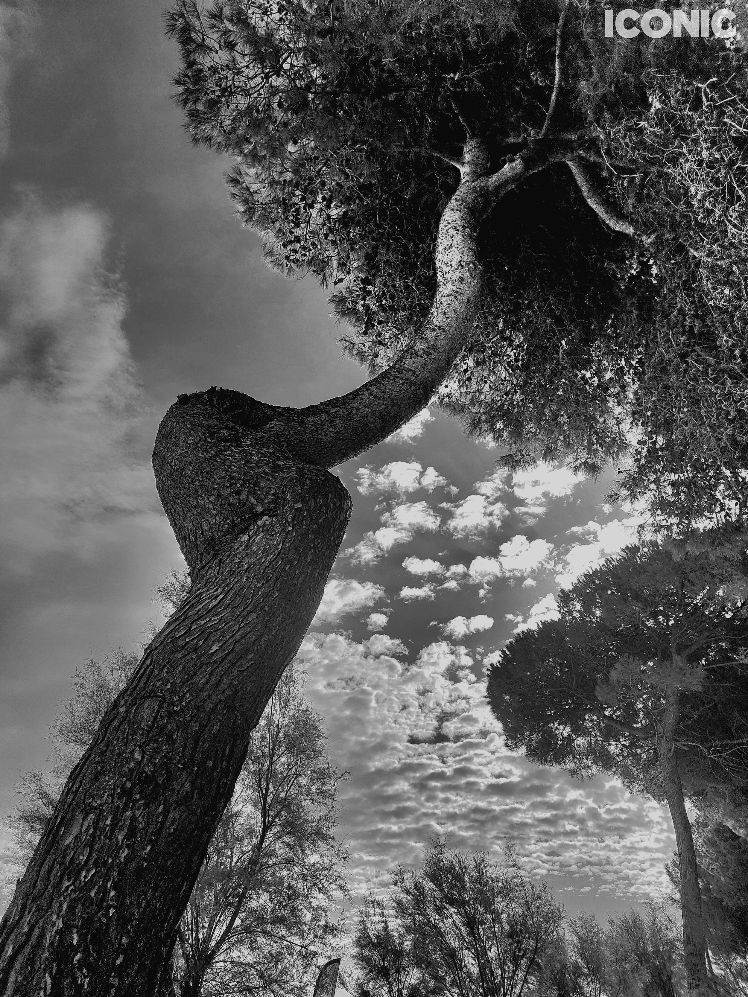 PHOTO BY
Annamaria Pinciotti
.