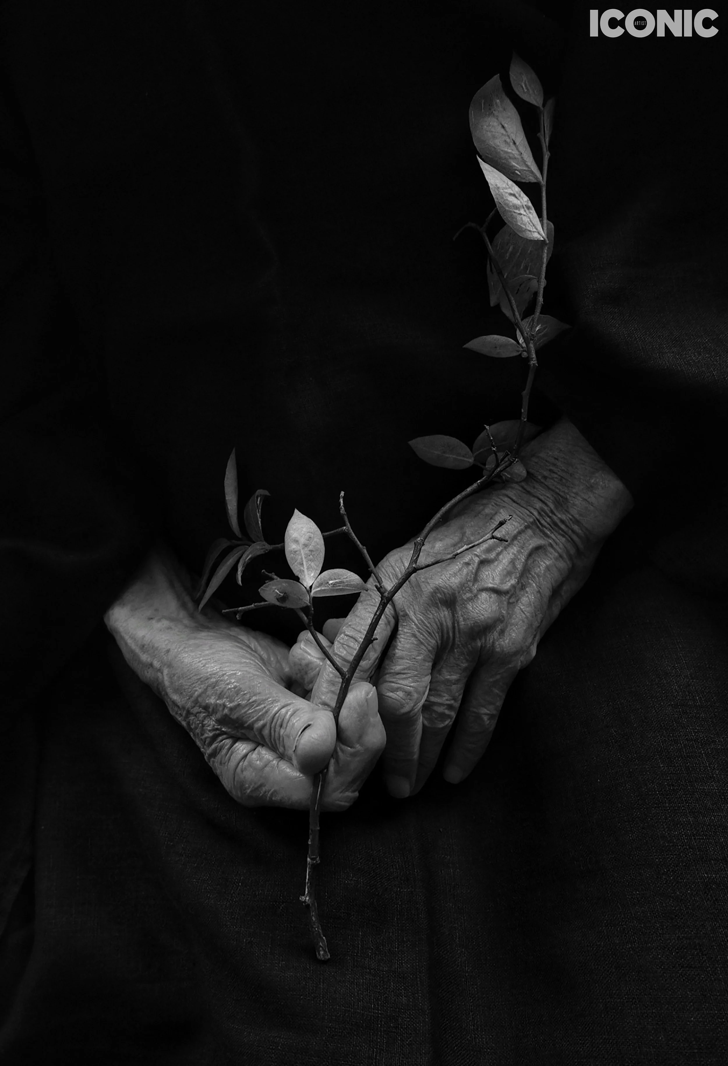 PHOTO BY
Ingrida Urbonavičienė
.