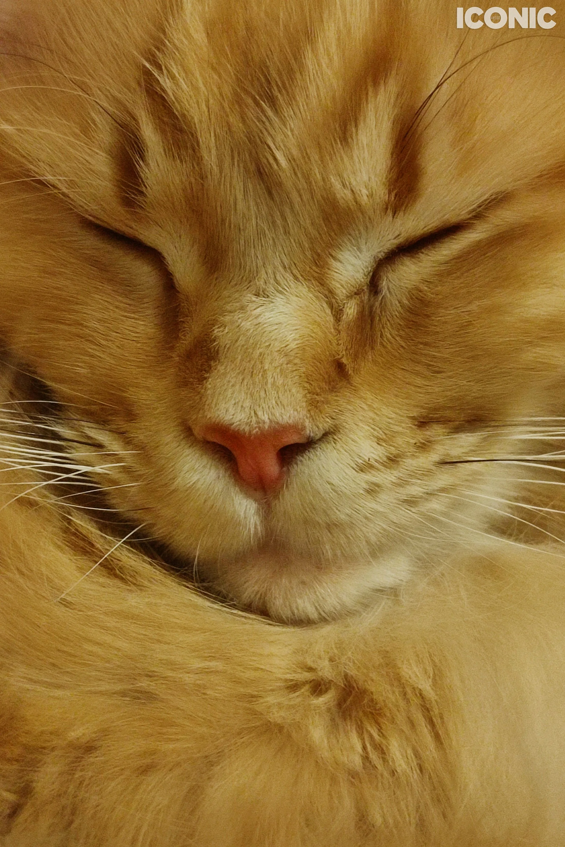 PHOTO BY
Natalya Potselyu
.