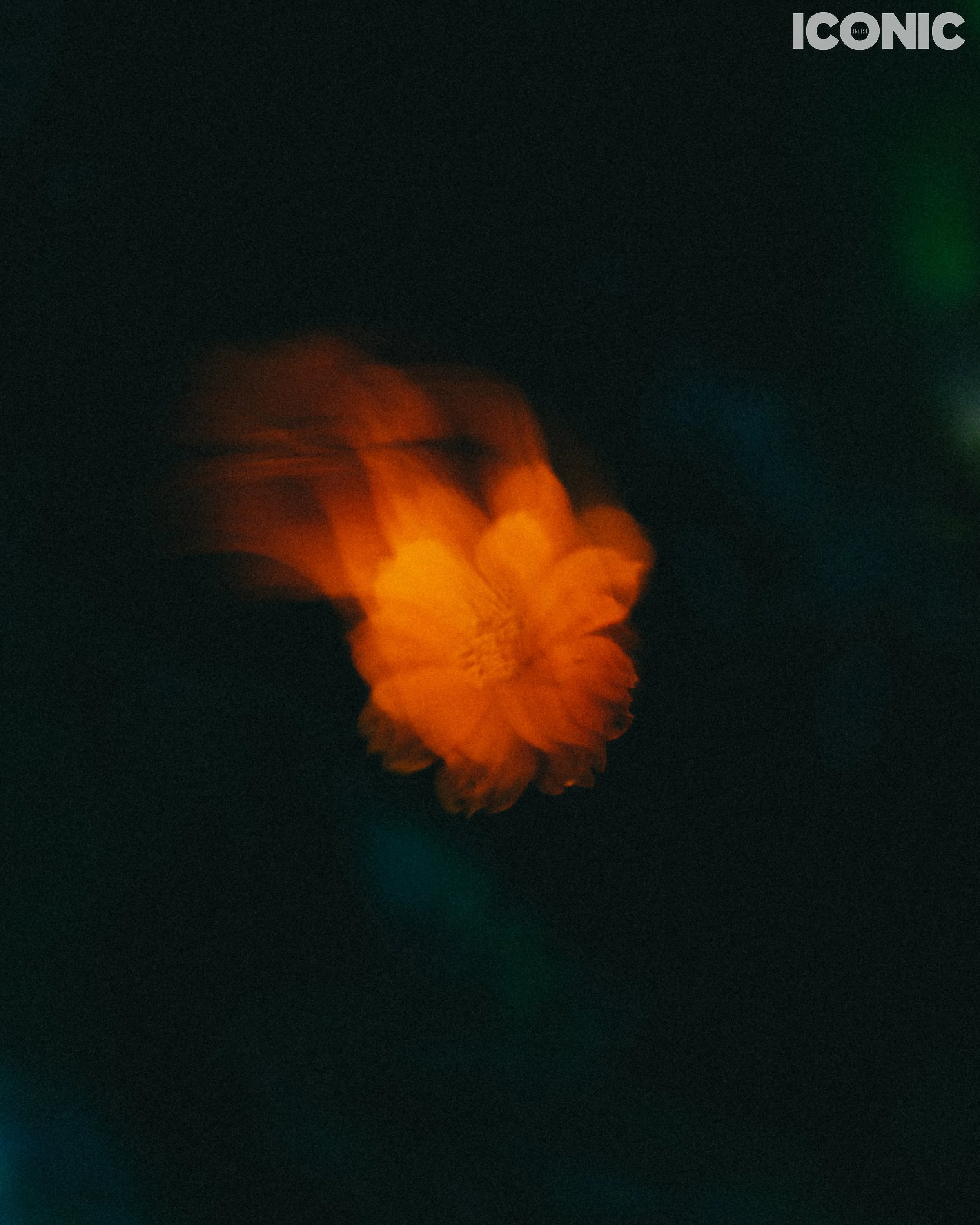 PHOTO BY
Ofê Rodrigues
.