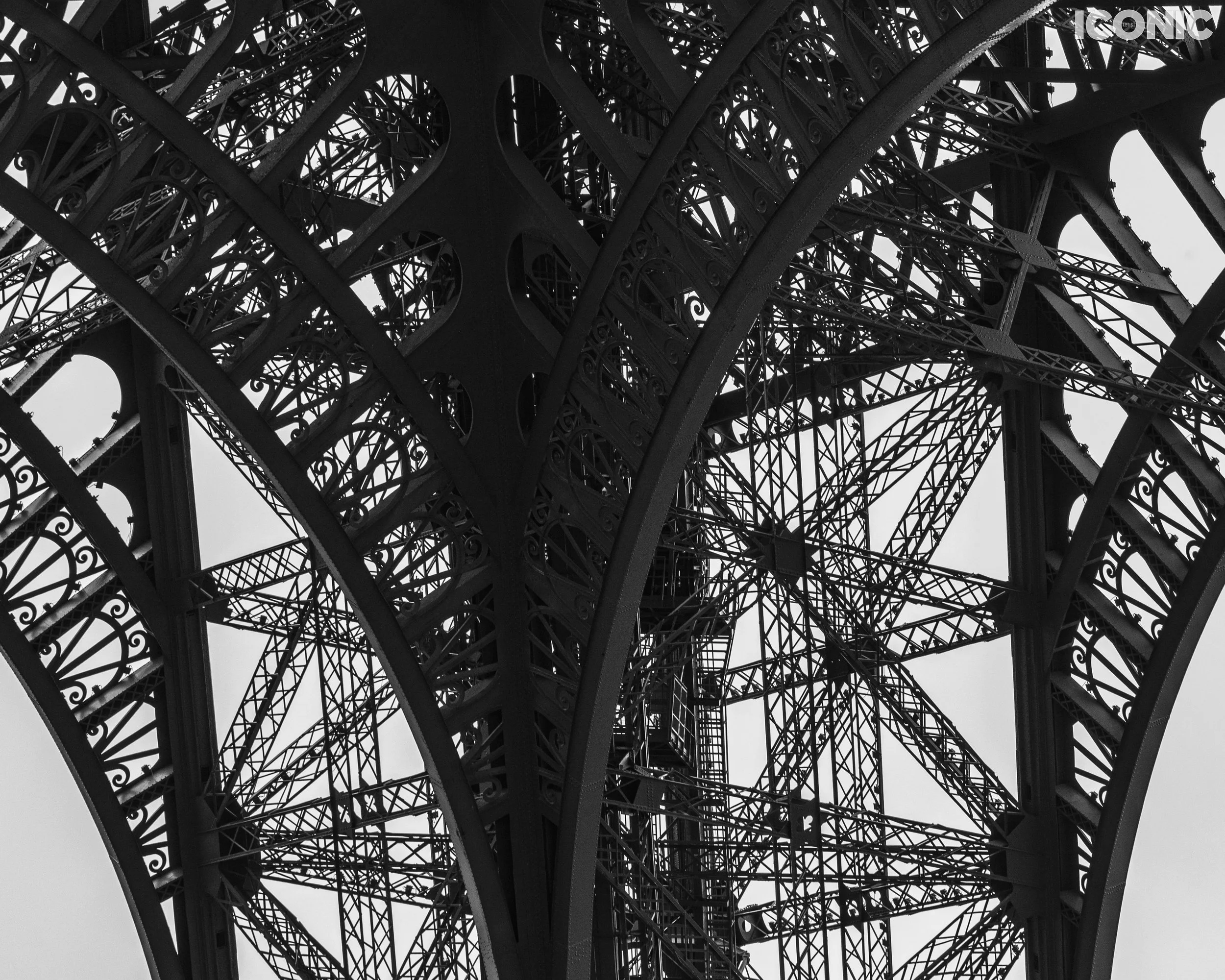 PHOTO BY
Olga Tarabukina
.