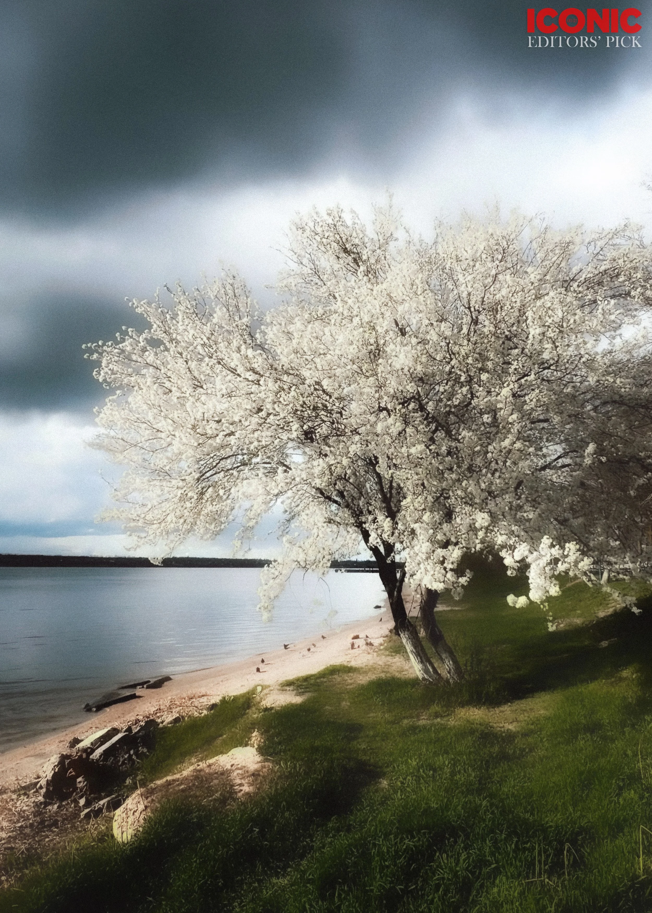 PHOTO BY
Anna Adamenko
.