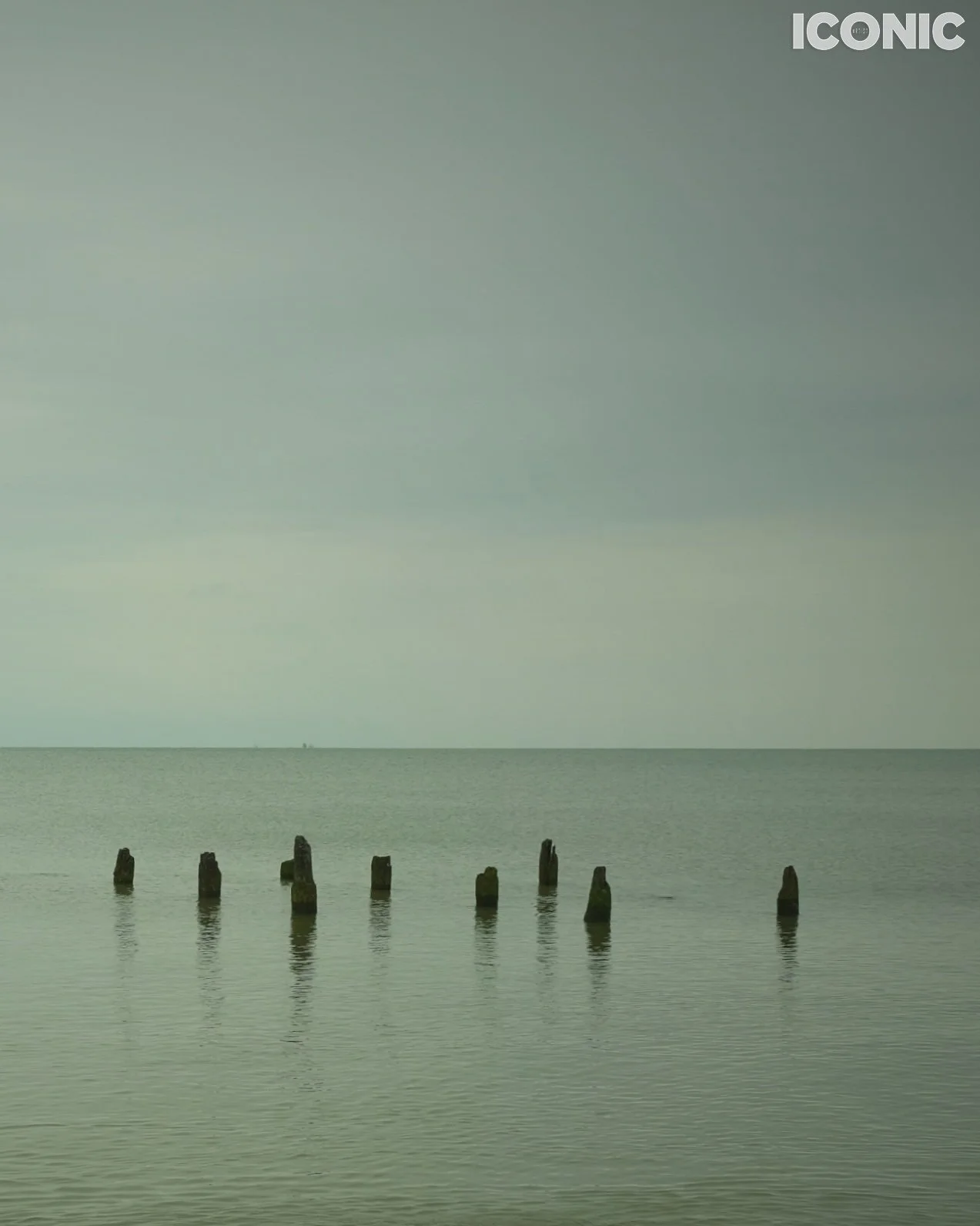 PHOTO BY
Ingrida Urbonavičienė
.