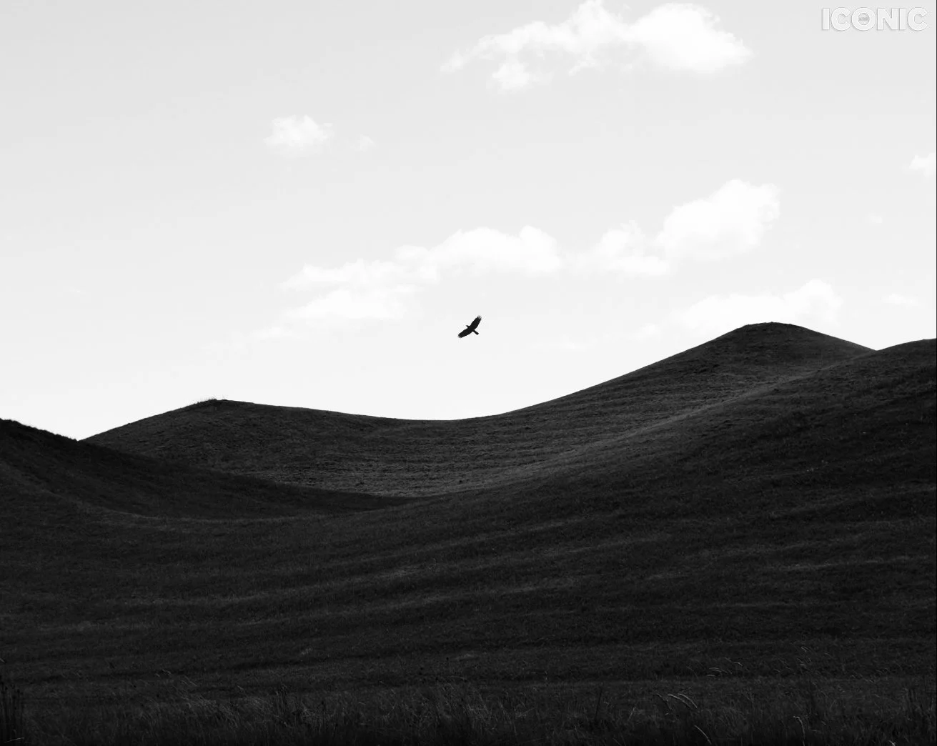 PHOTO BY
Ingrida Urbonavičienė
.