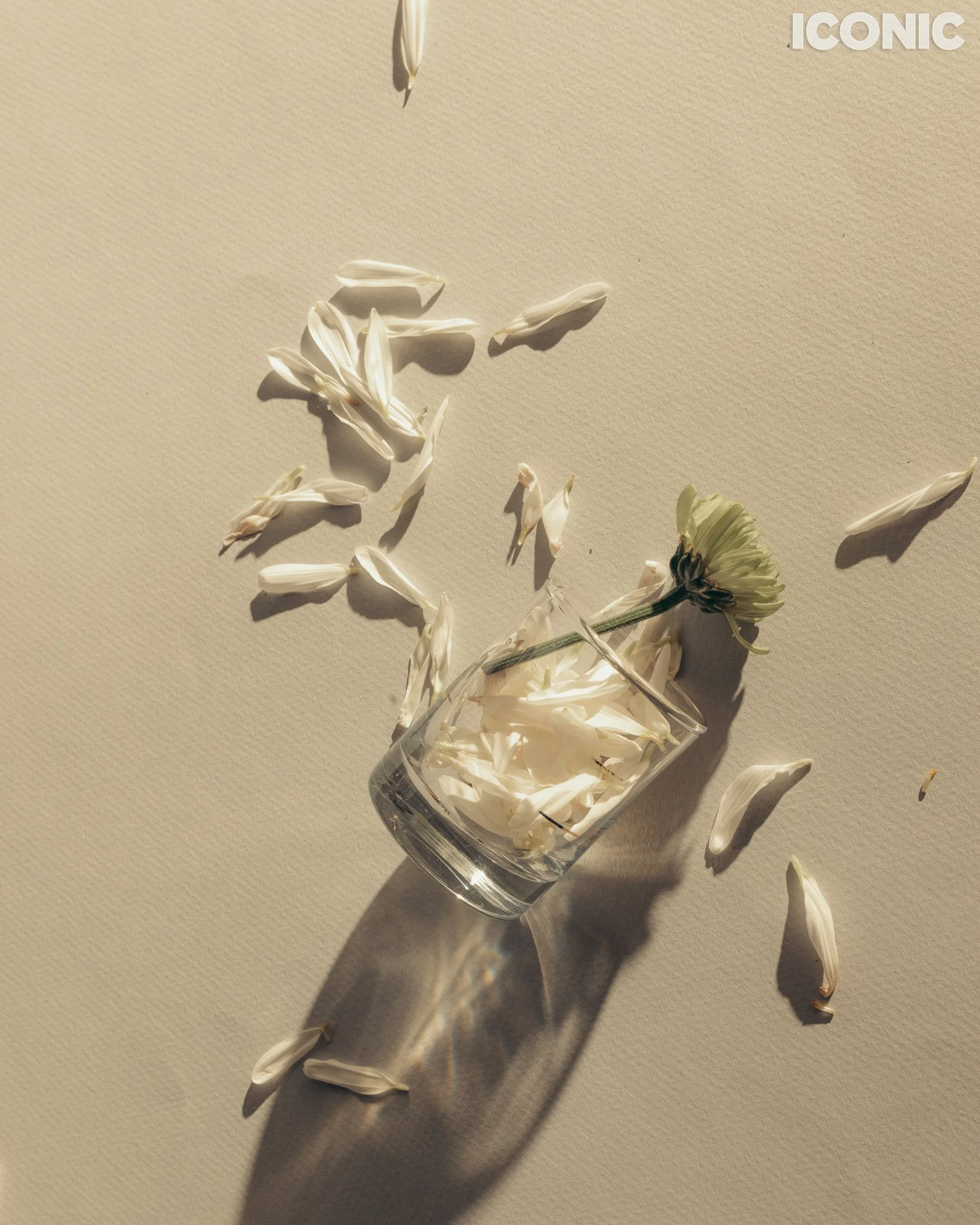 PHOTO BY
Joel Jackson
.