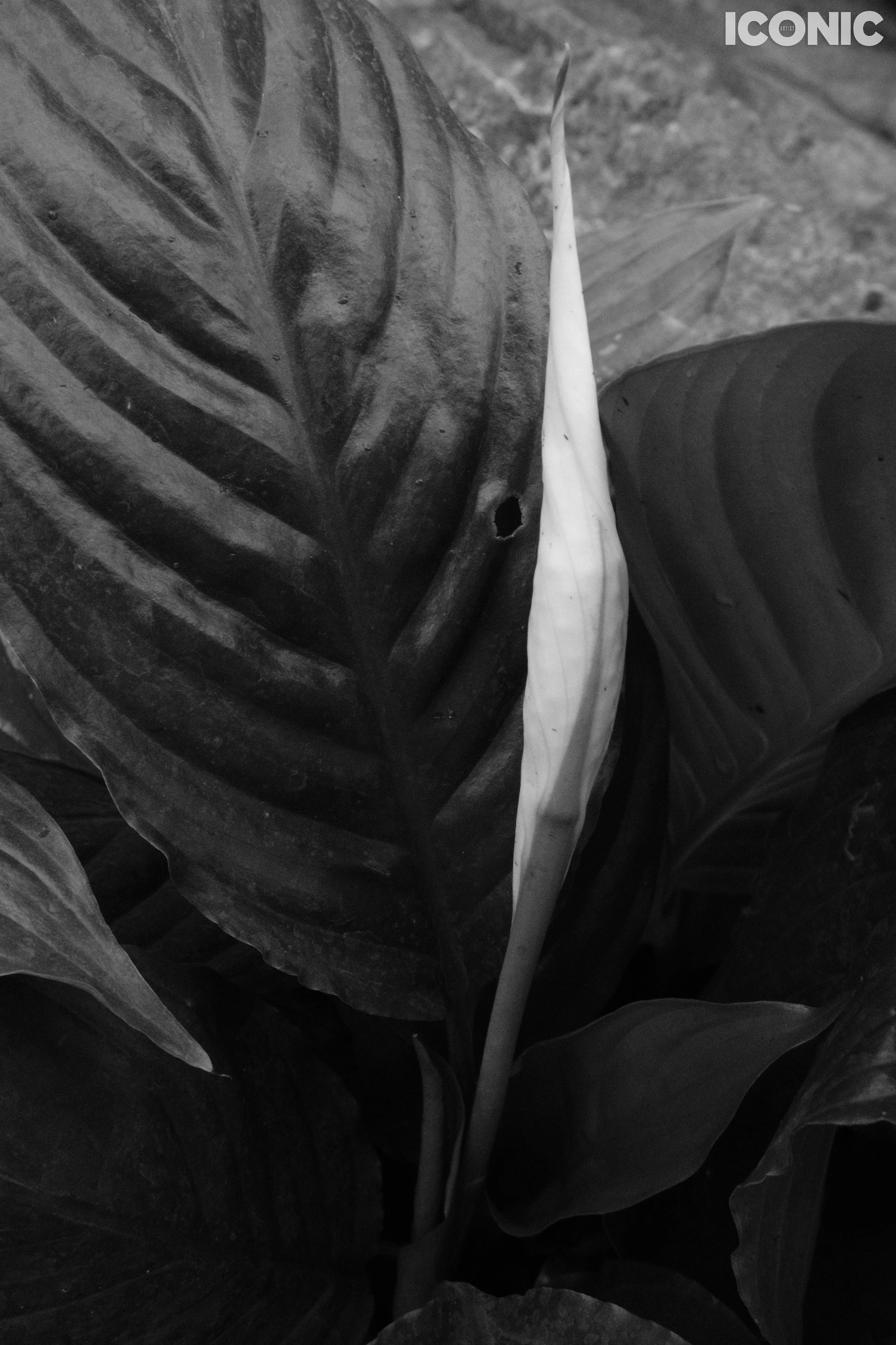 PHOTO BY
Marina Sirotina
.