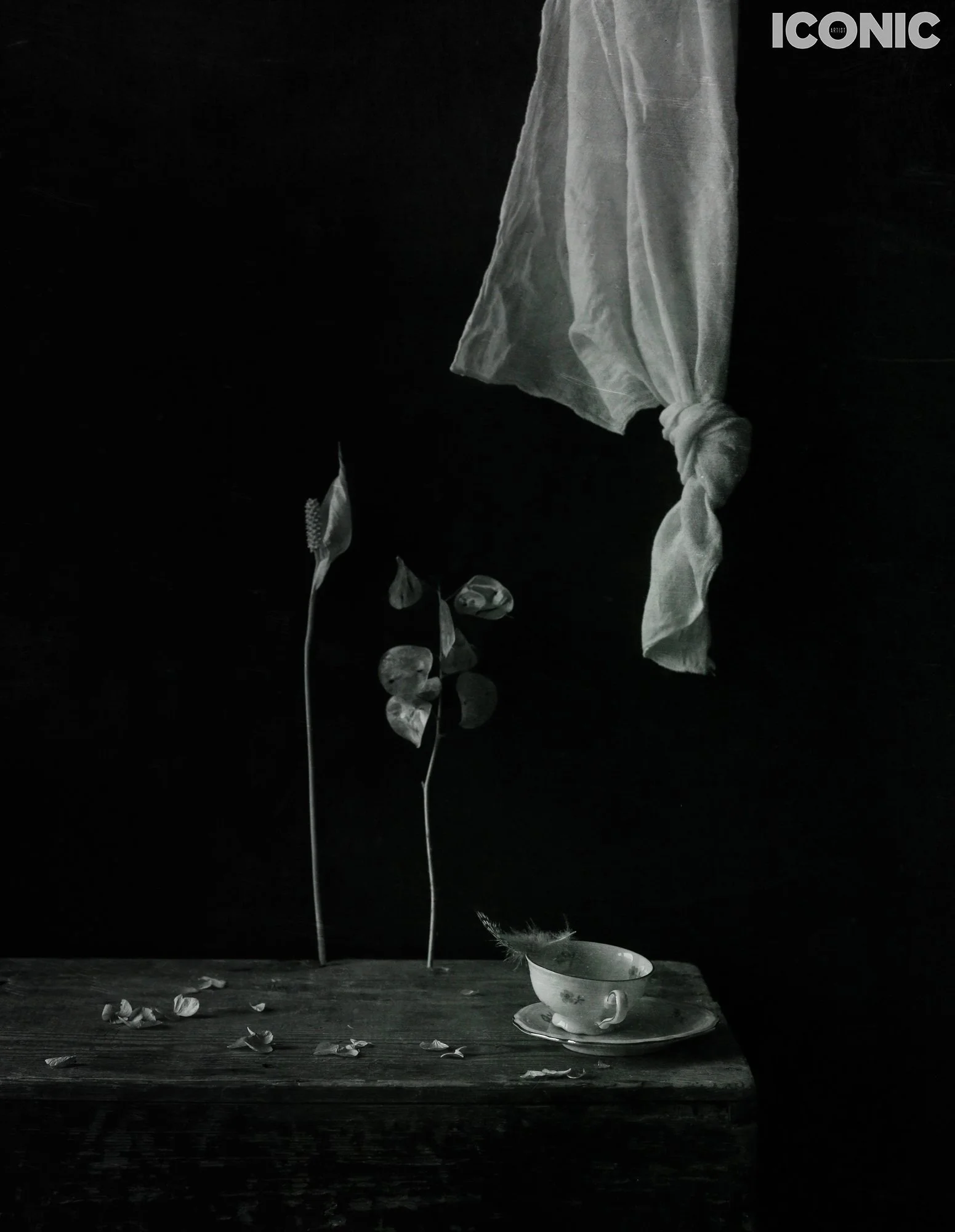 PHOTO BY
Masha Sapego
.