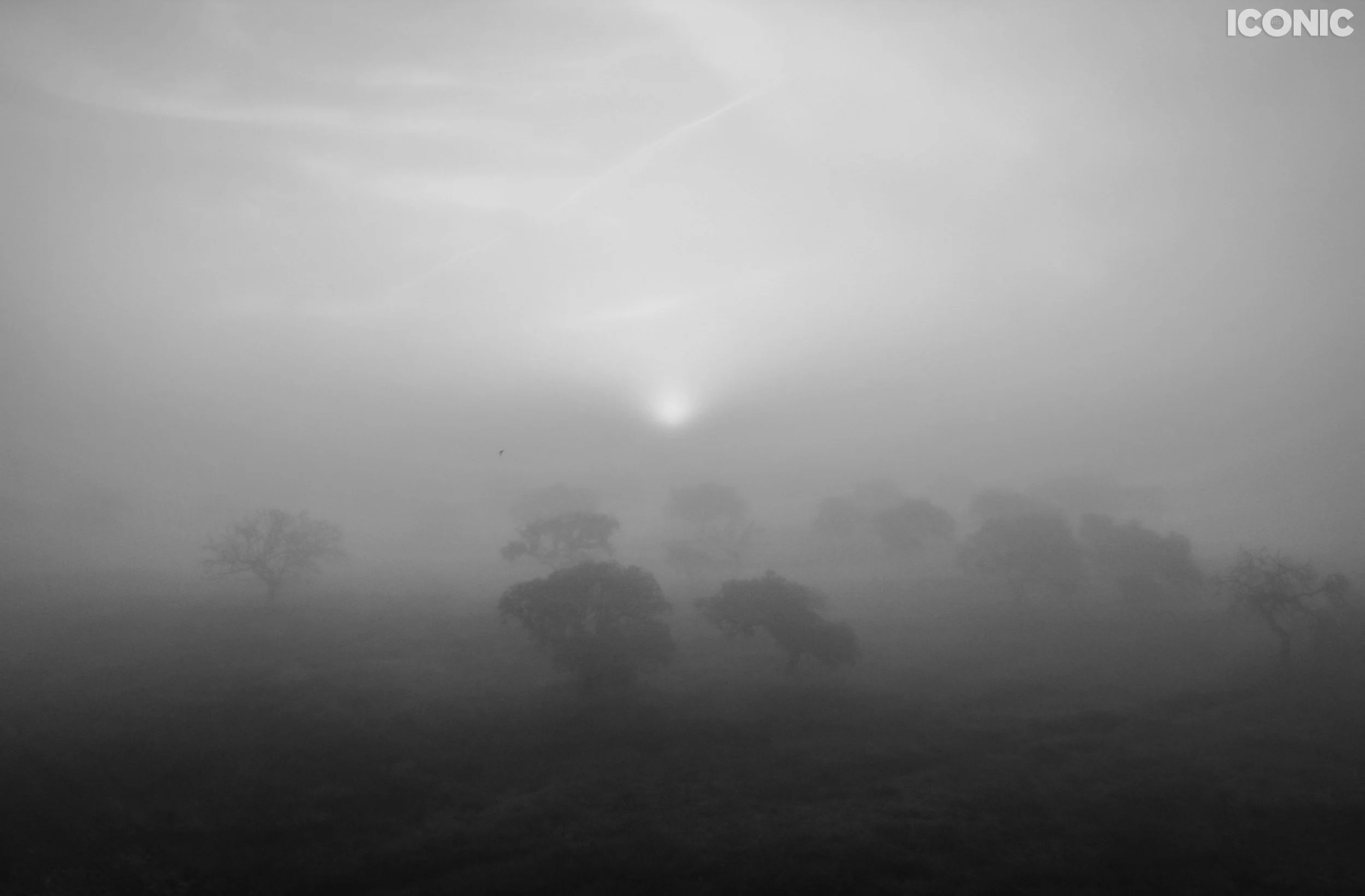 PHOTO BY
Pablo Fanque
.