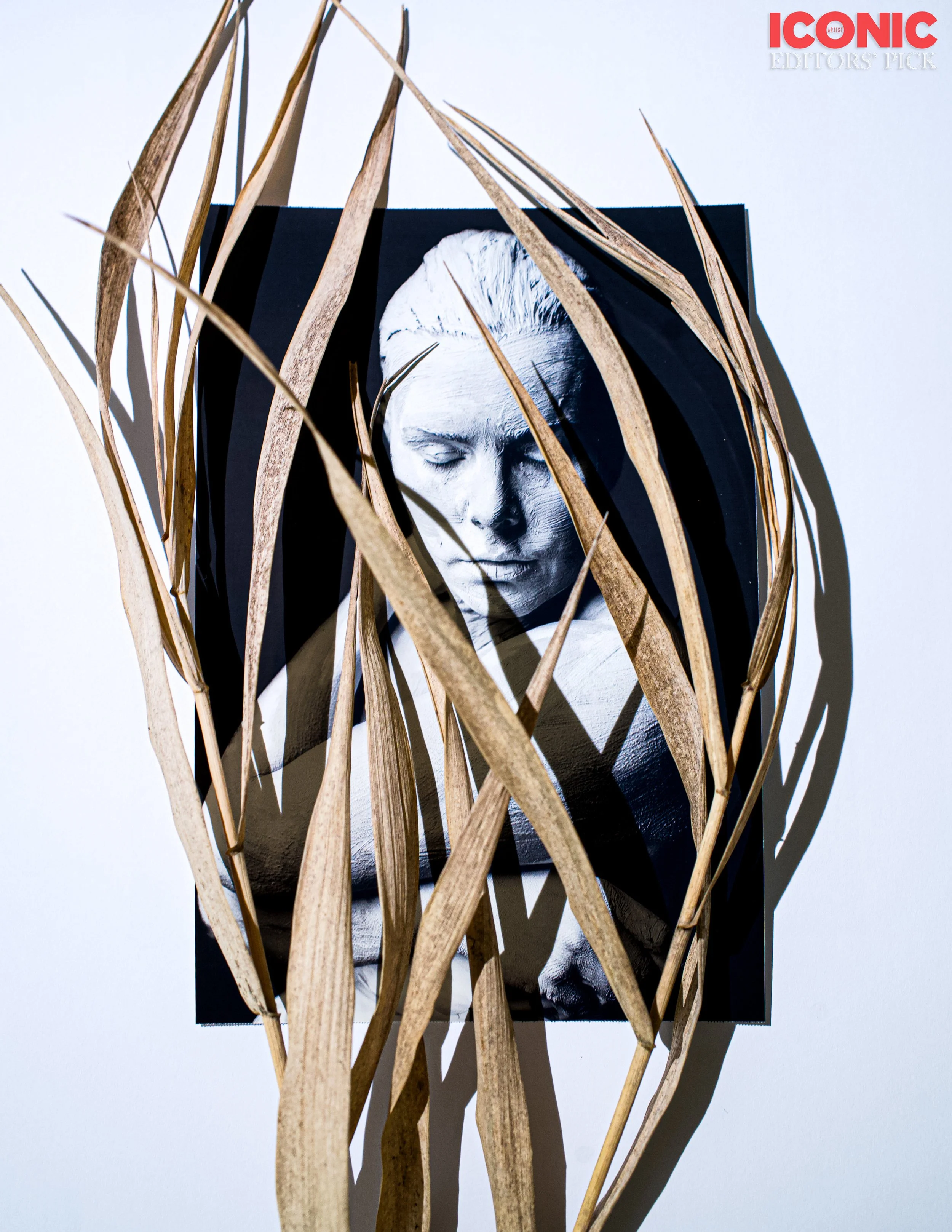 PHOTO BY
Jelena Kintero
.