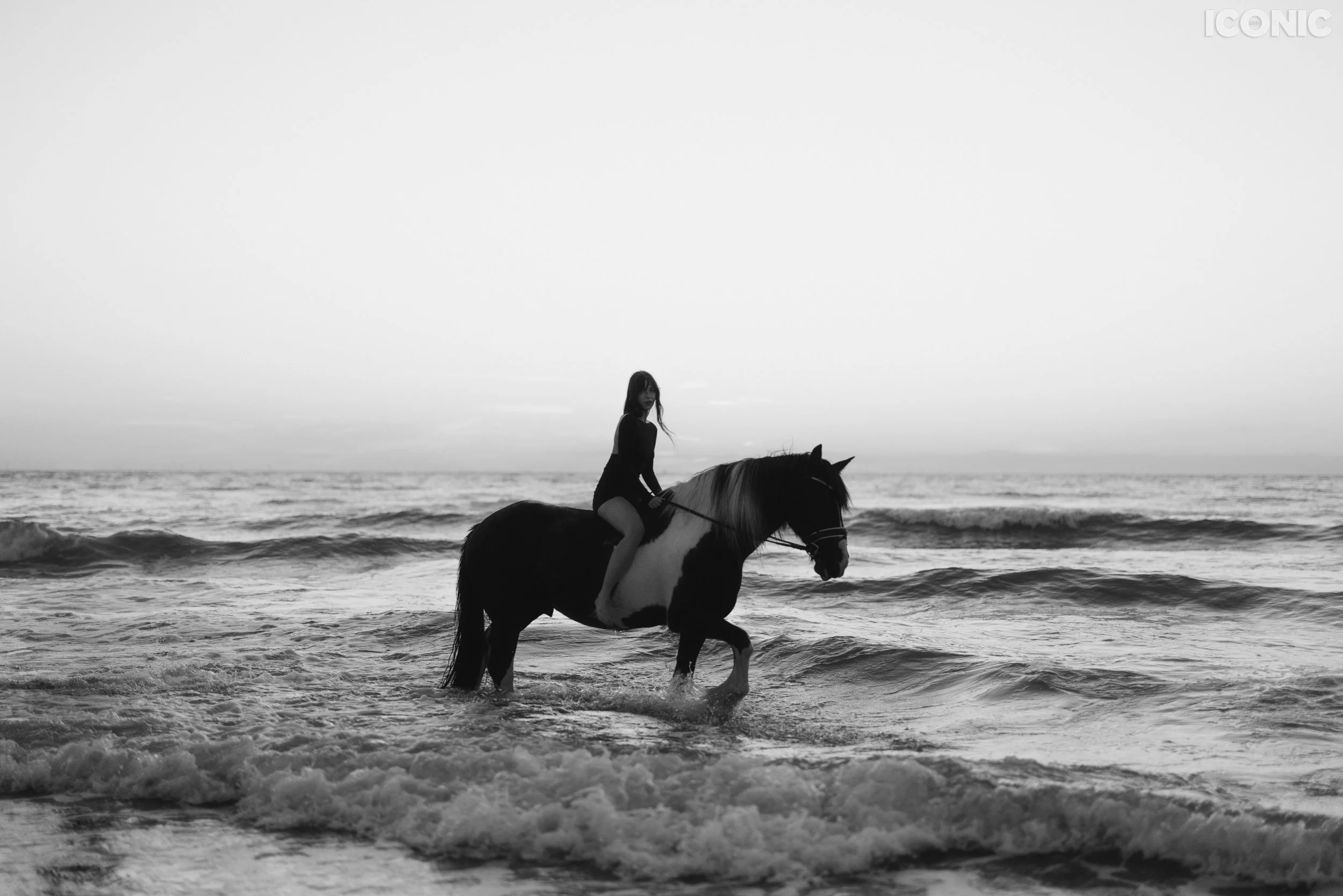 PHOTO BY
Anya Raiszadeh
.