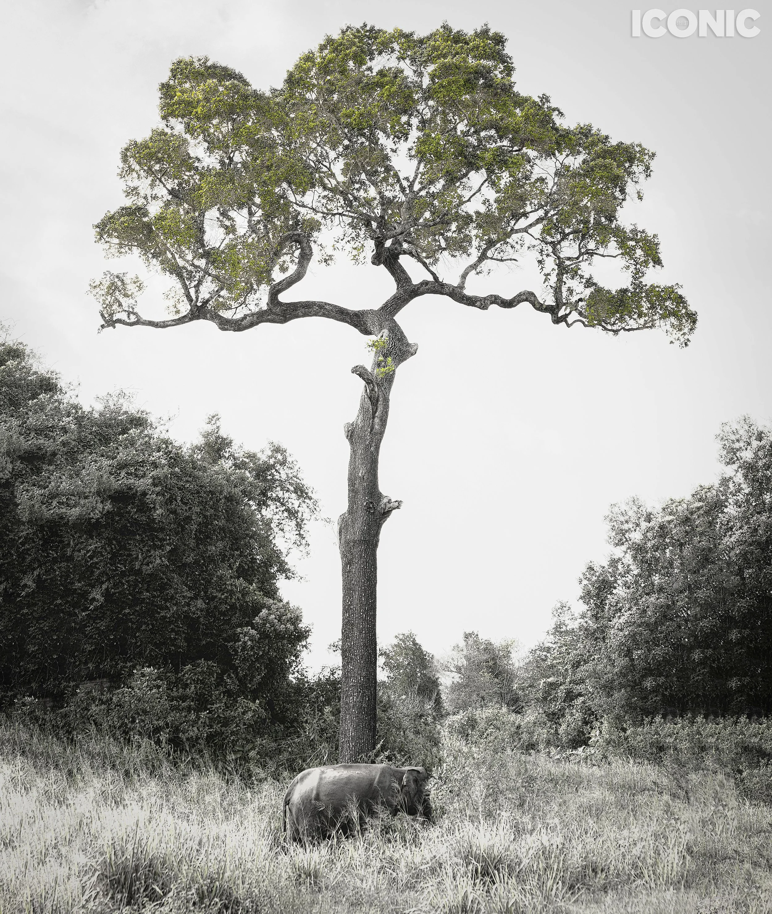 PHOTO BY
Ekaterina Kott
.