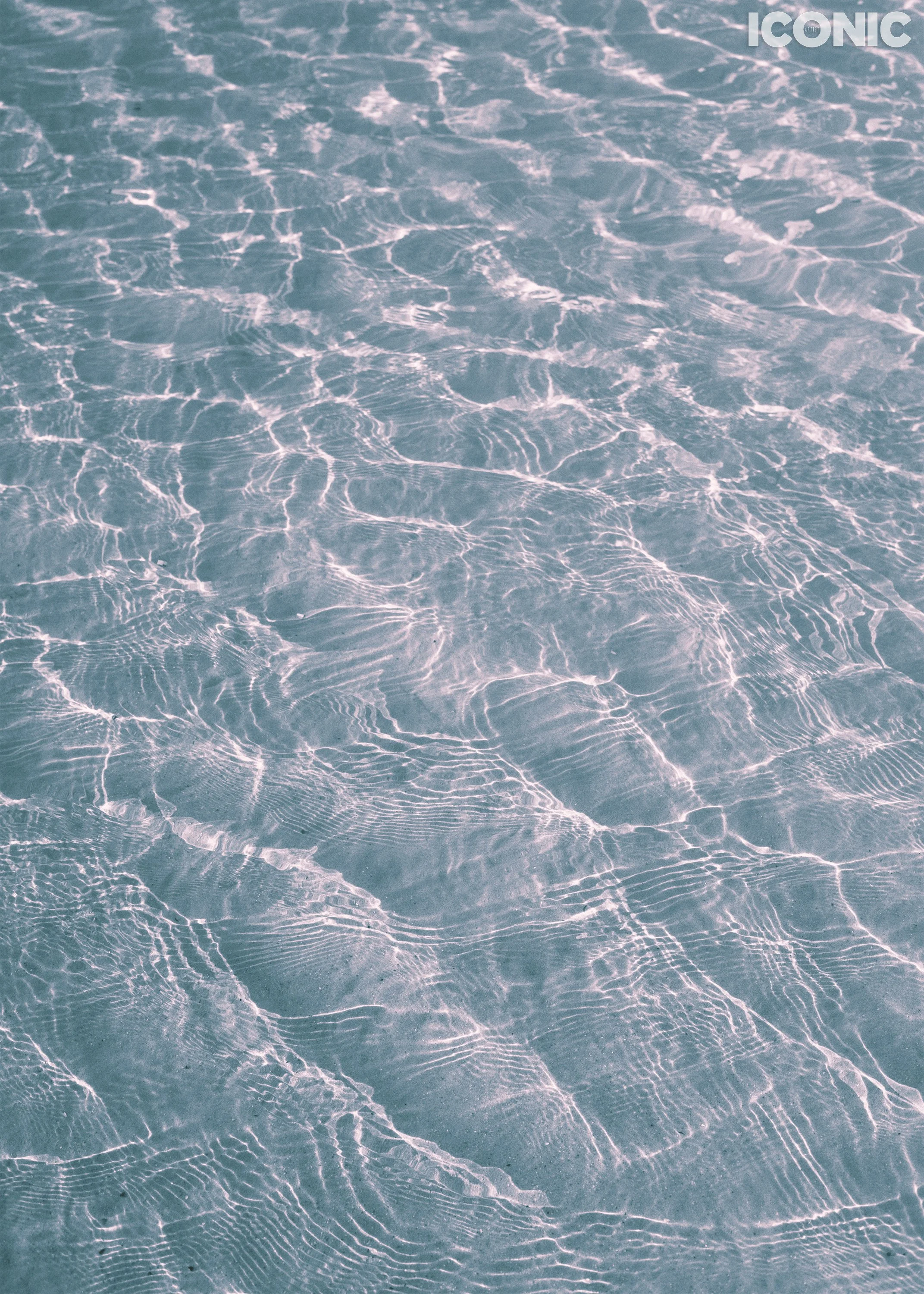 PHOTO BY
Anna Strelzov
.