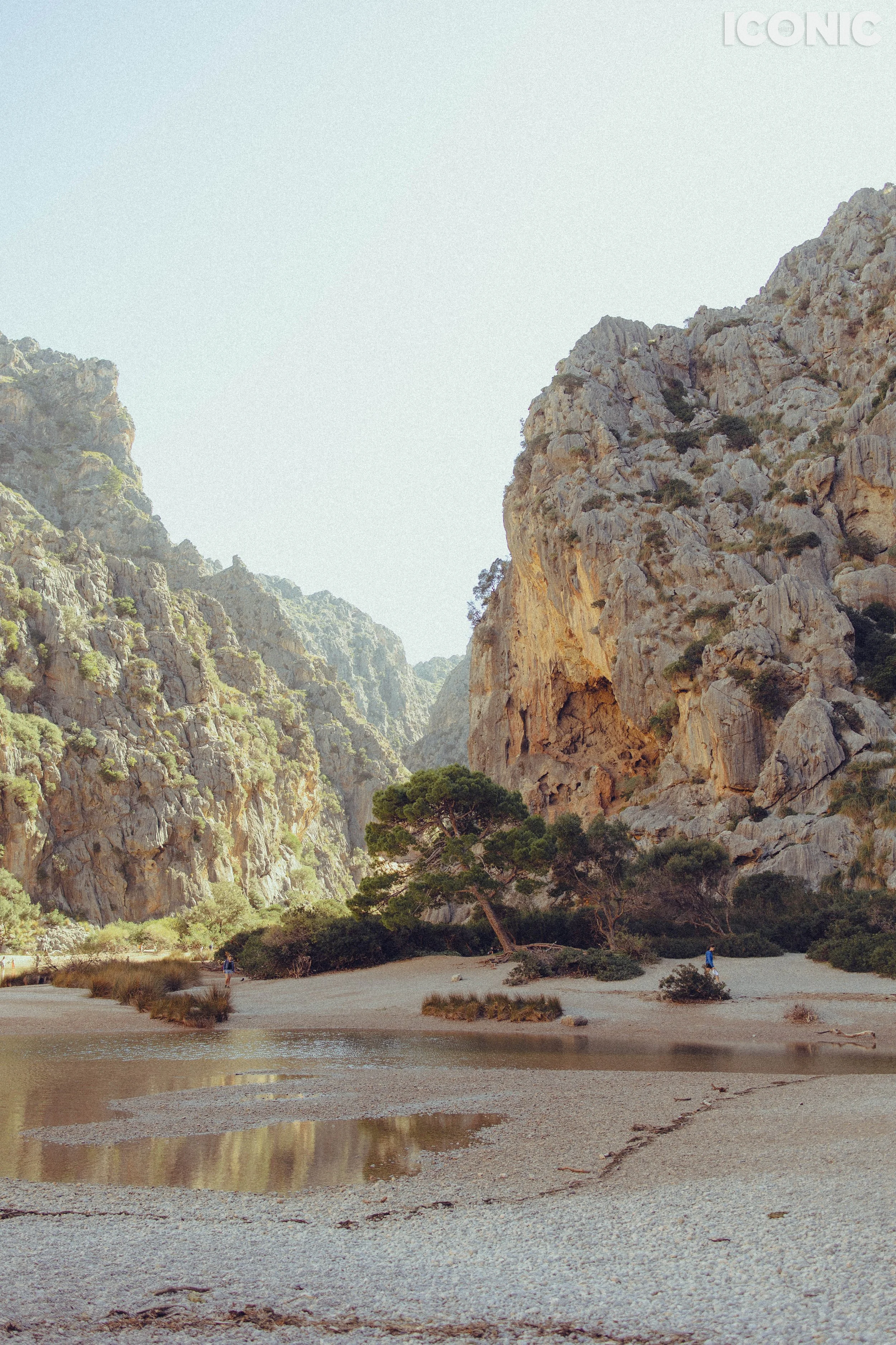 PHOTO BY
Tatiana Bigun
.