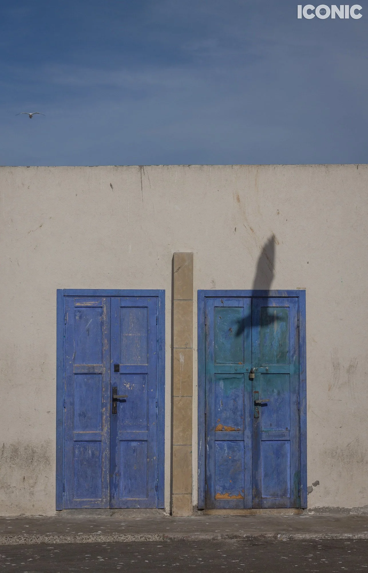 PHOTO BY
Rita Piludu
.