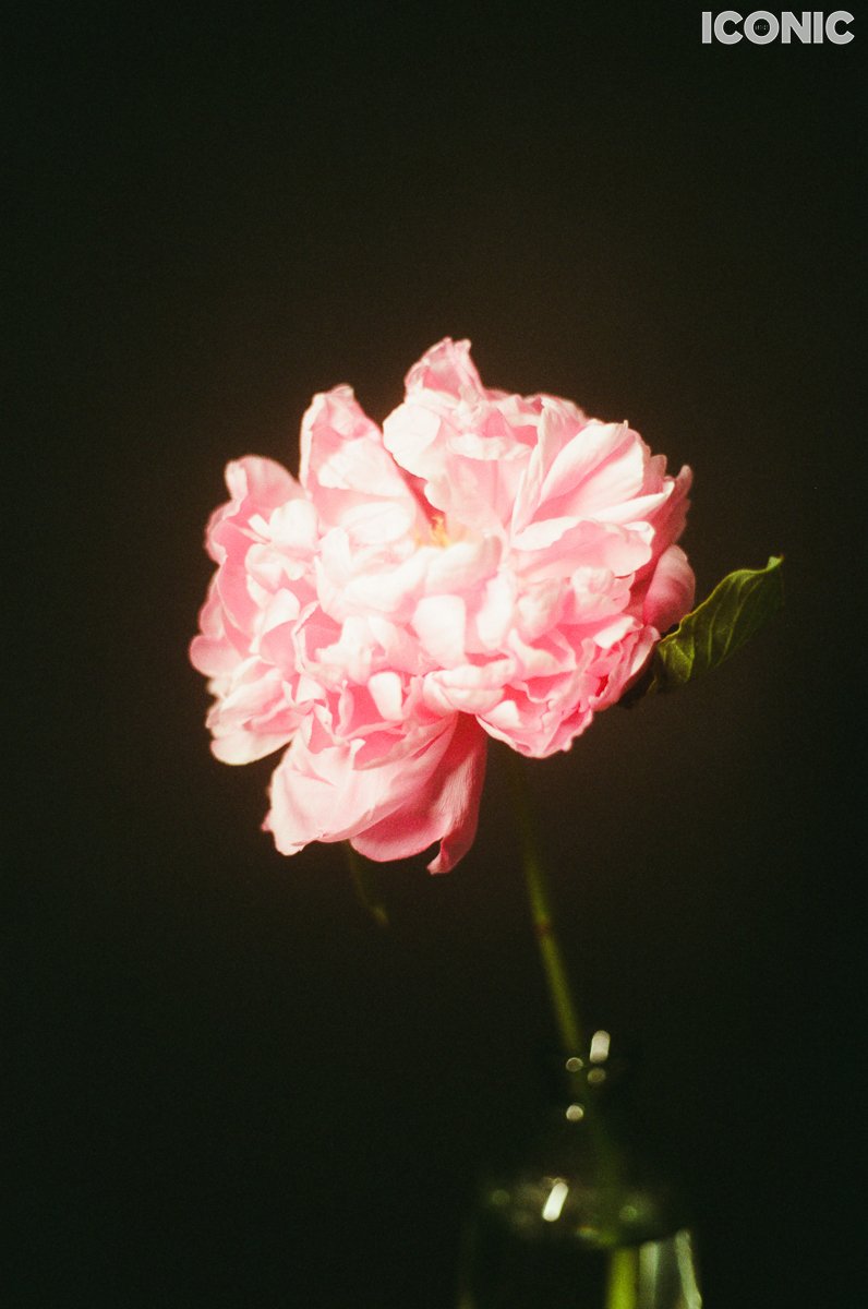 PHOTO BY
Anna Leonidov
.