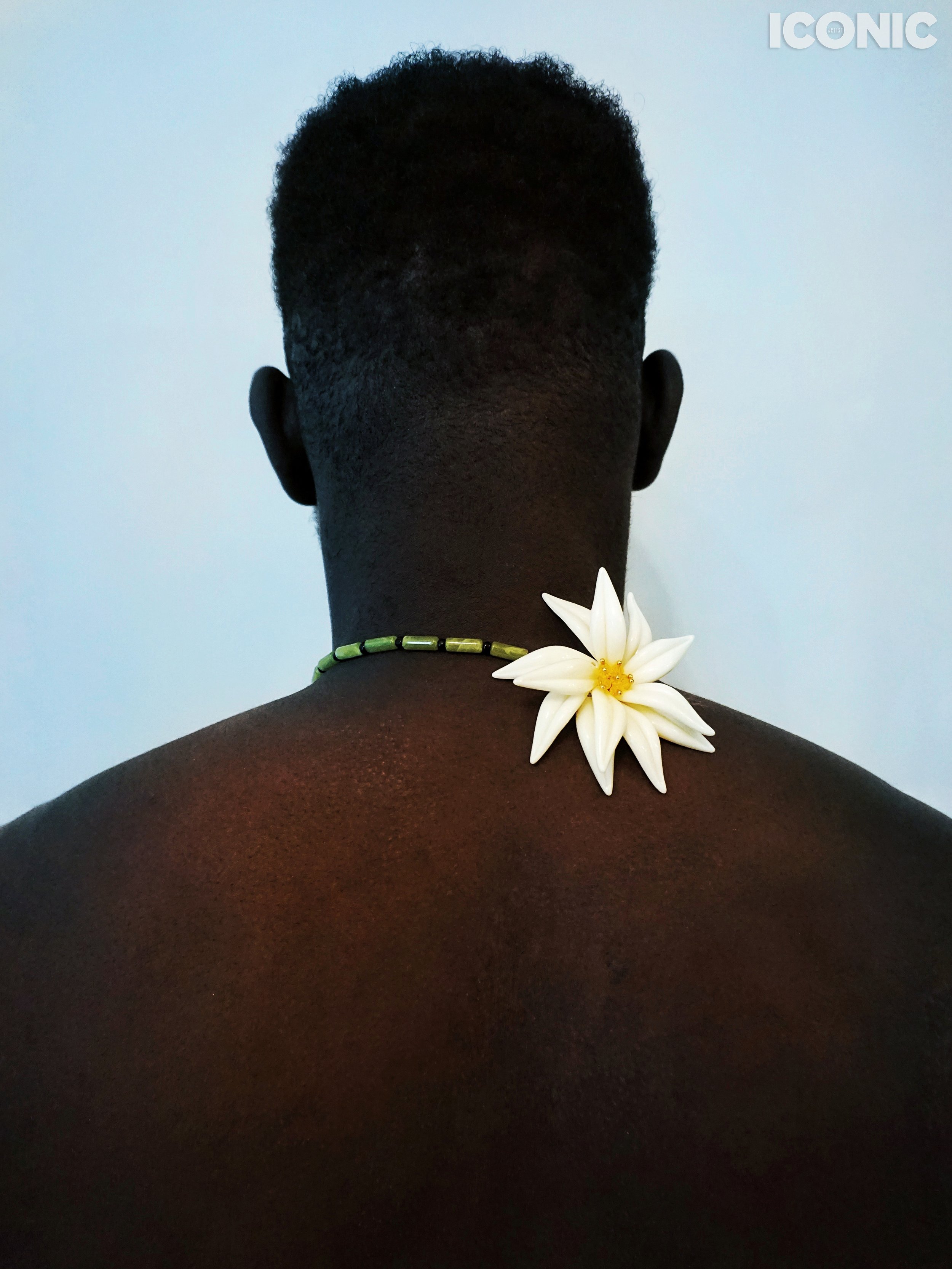PHOTO BY
Joanna Senkowska
.