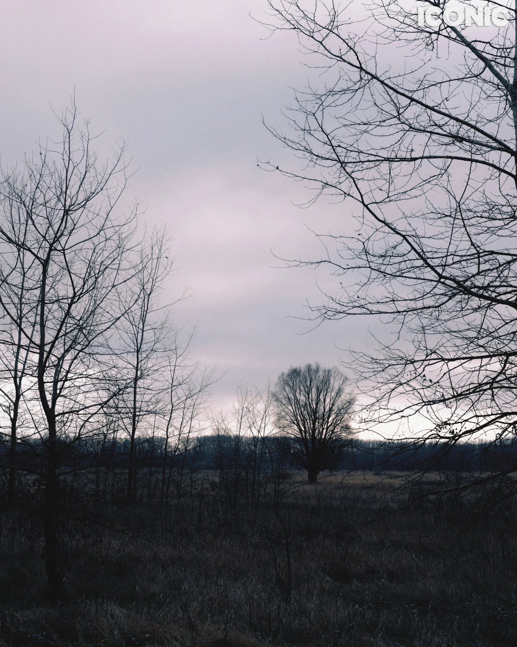 PHOTO BY
Tatiana Diwinski
.