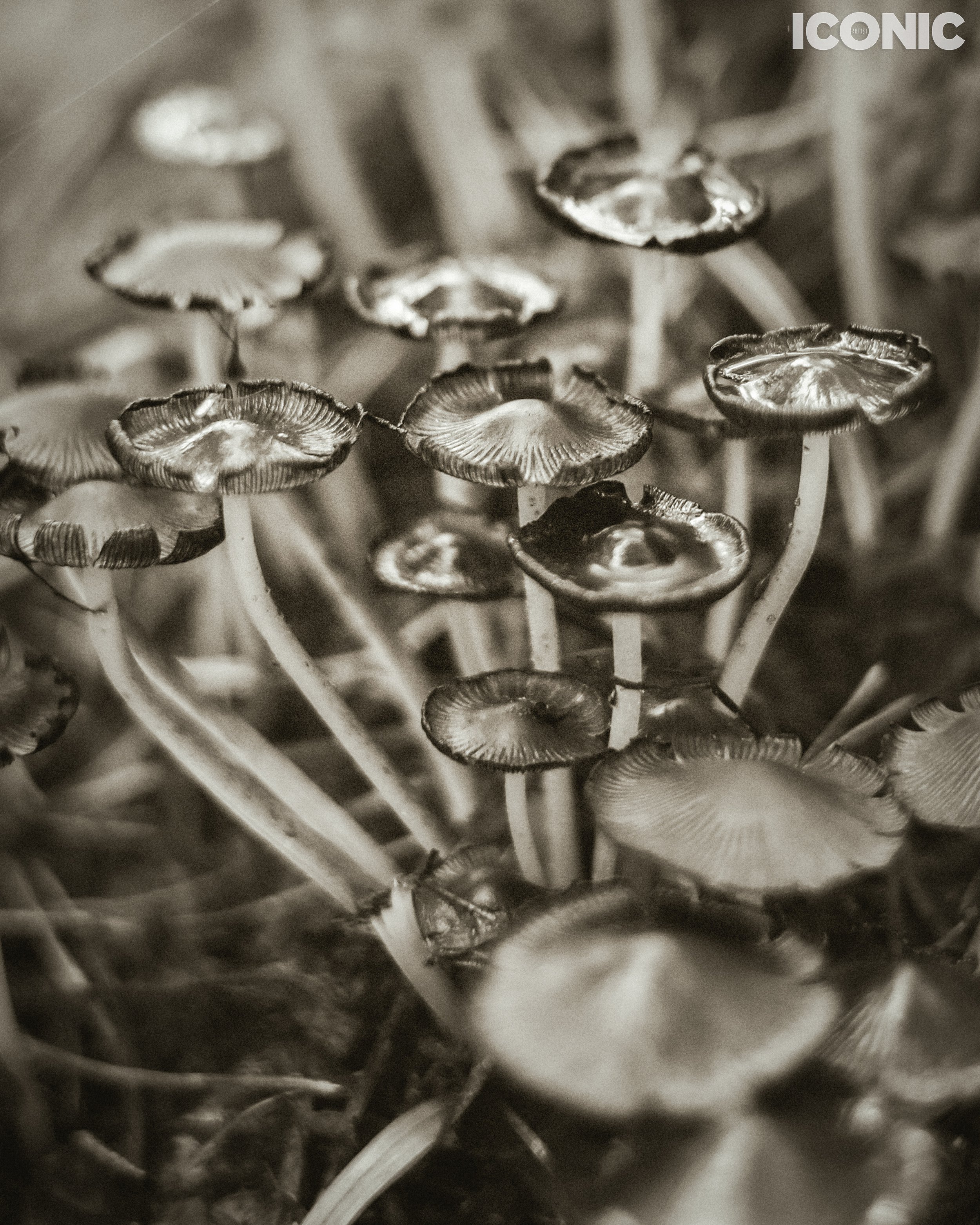 PHOTO BY
Tanya Yerko
.