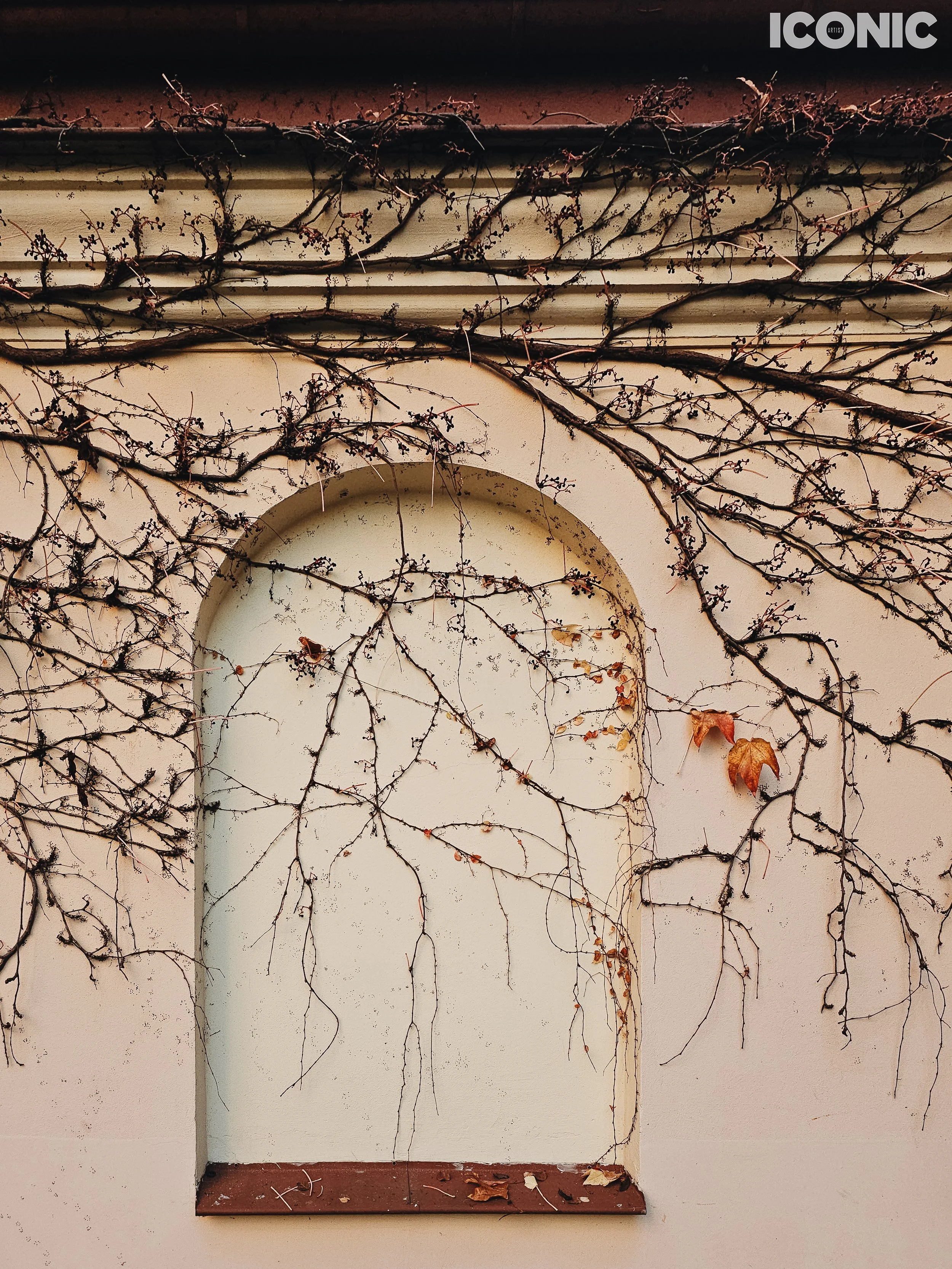 PHOTO BY
Olga Shishuk
.