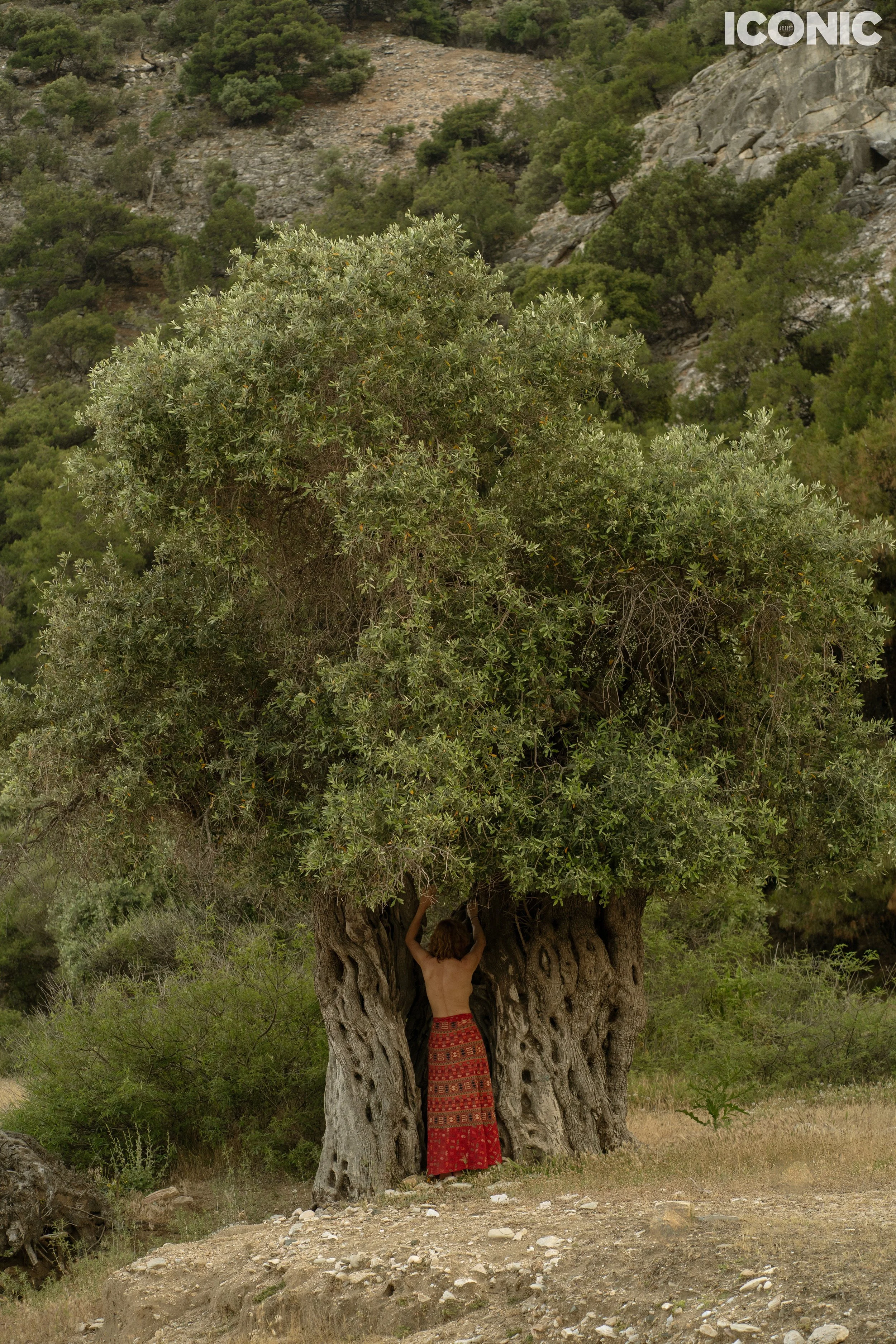 PHOTO BY
Larisa Usmanova
.