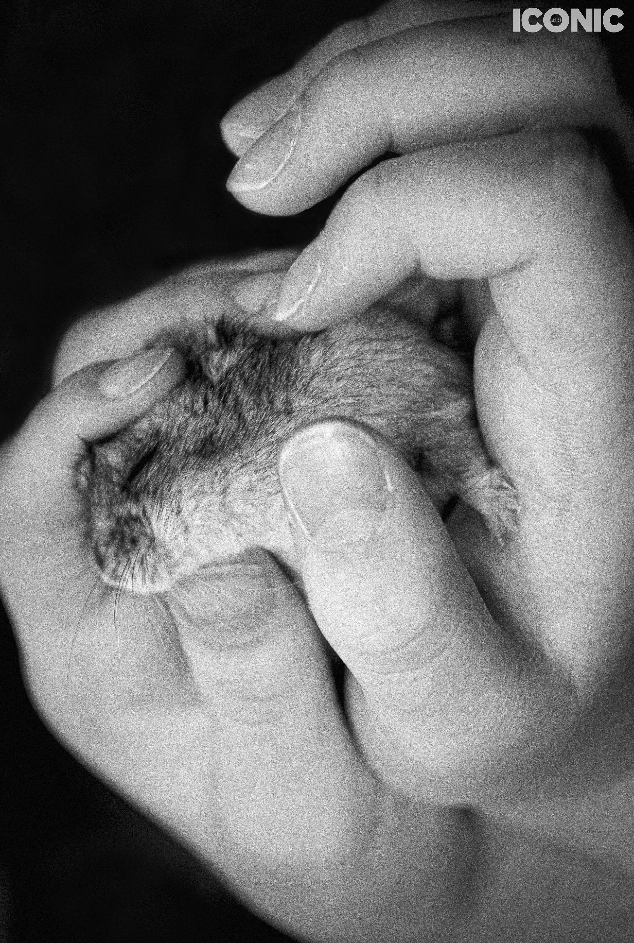 PHOTO BY
Lena Sokolova
.