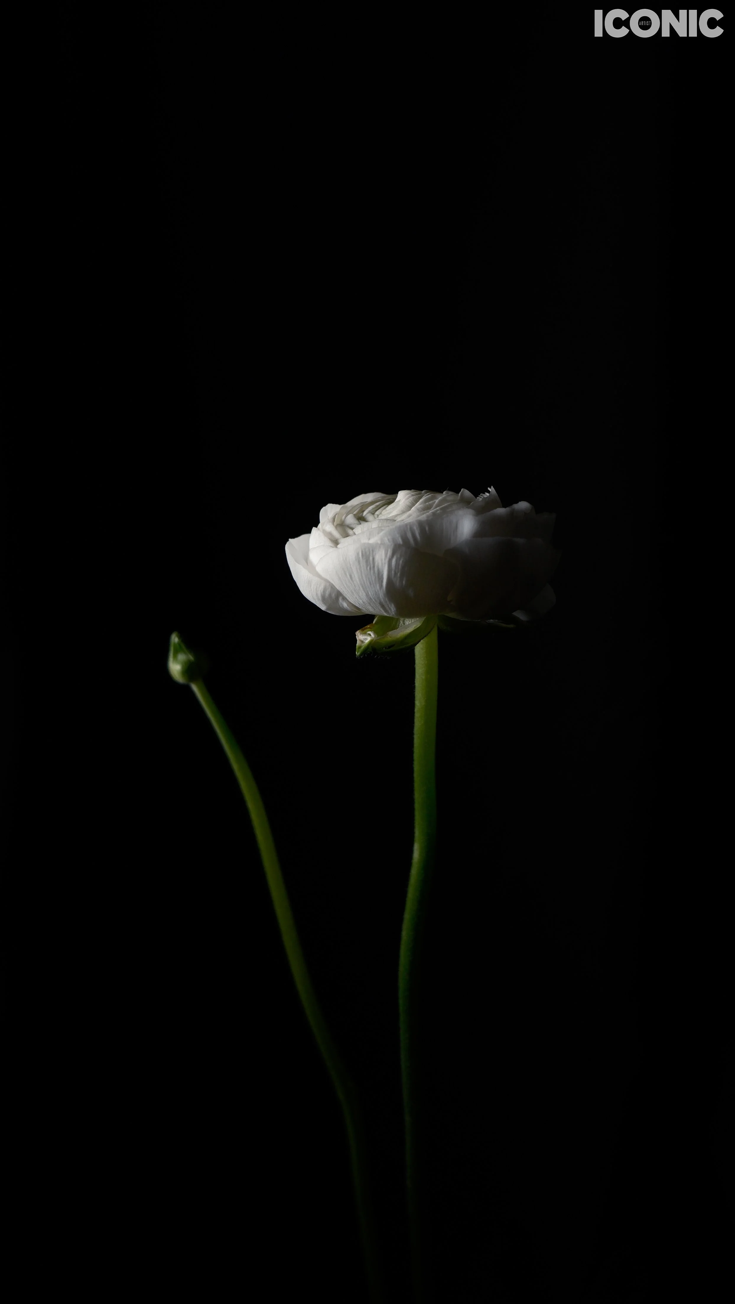 PHOTO BY
Tatiana Bigun
.