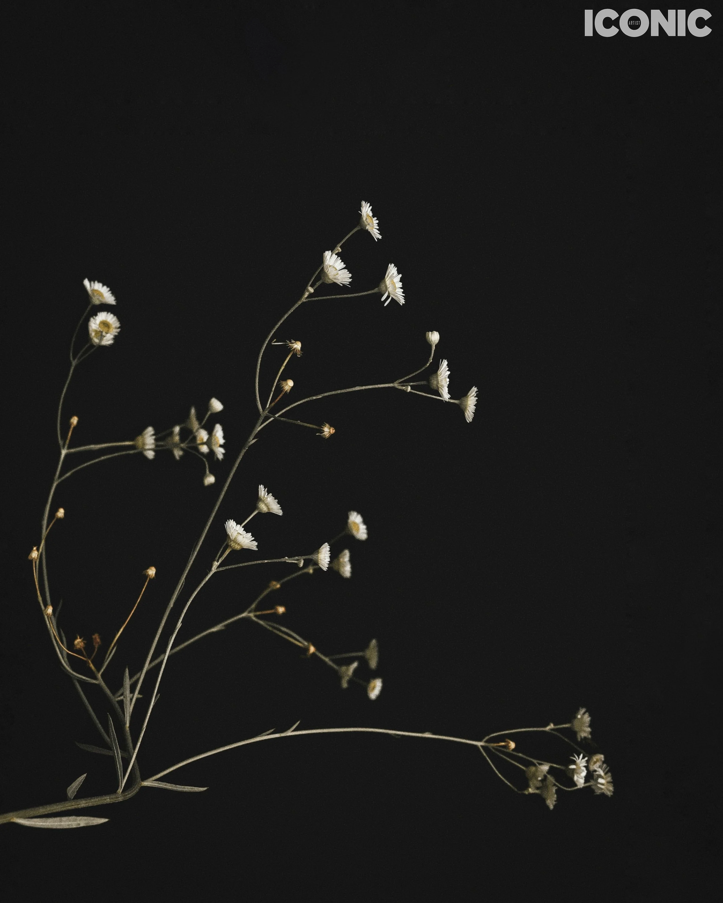 PHOTO BY
Tanya Yerko
.
