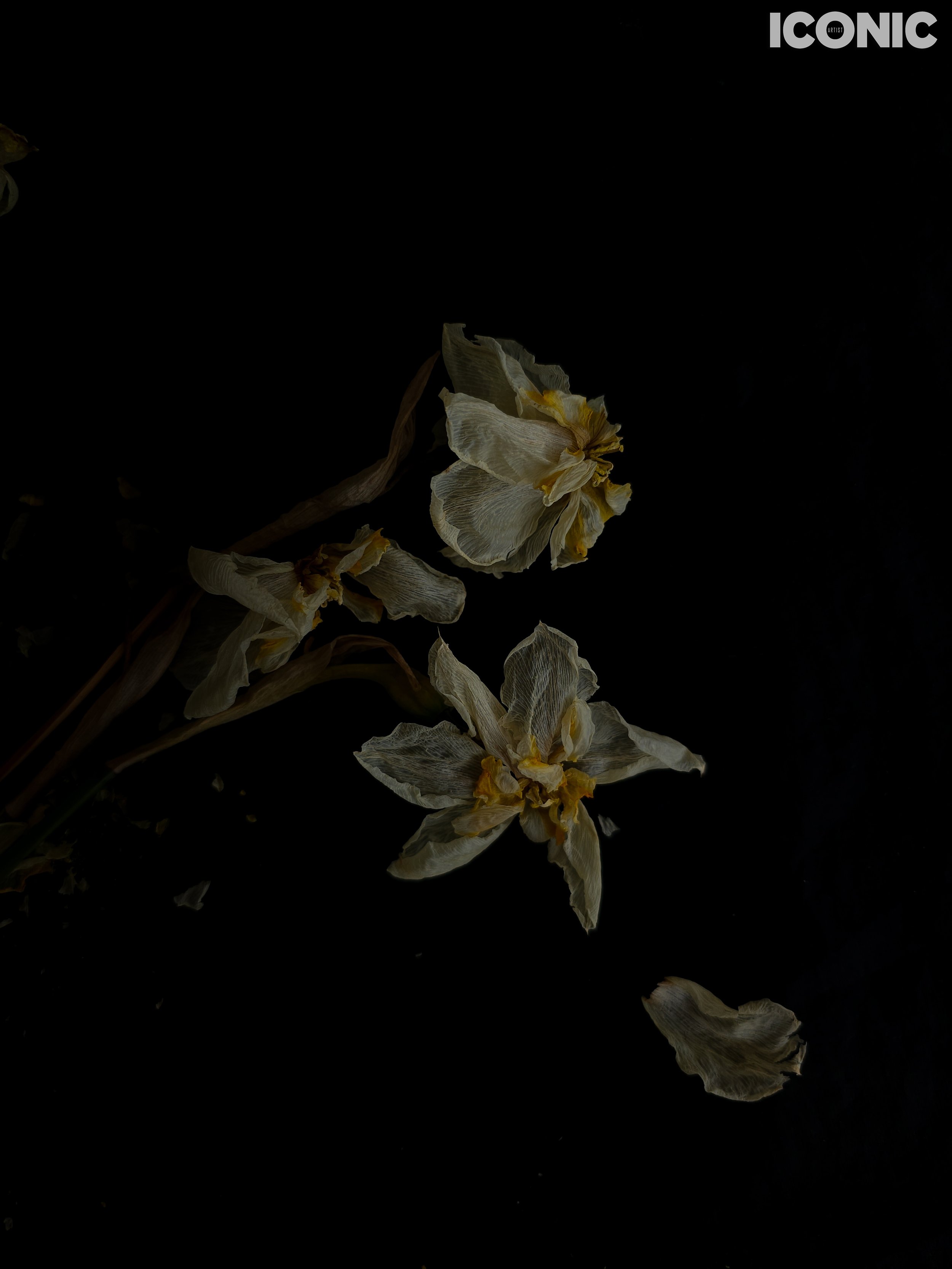 PHOTO BY
Olga Shishuk
.