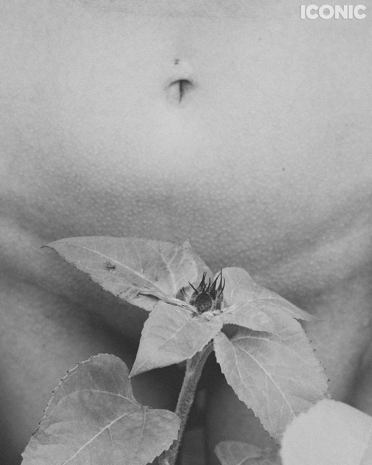 PHOTO BY
Ekaterina Bazhul
.