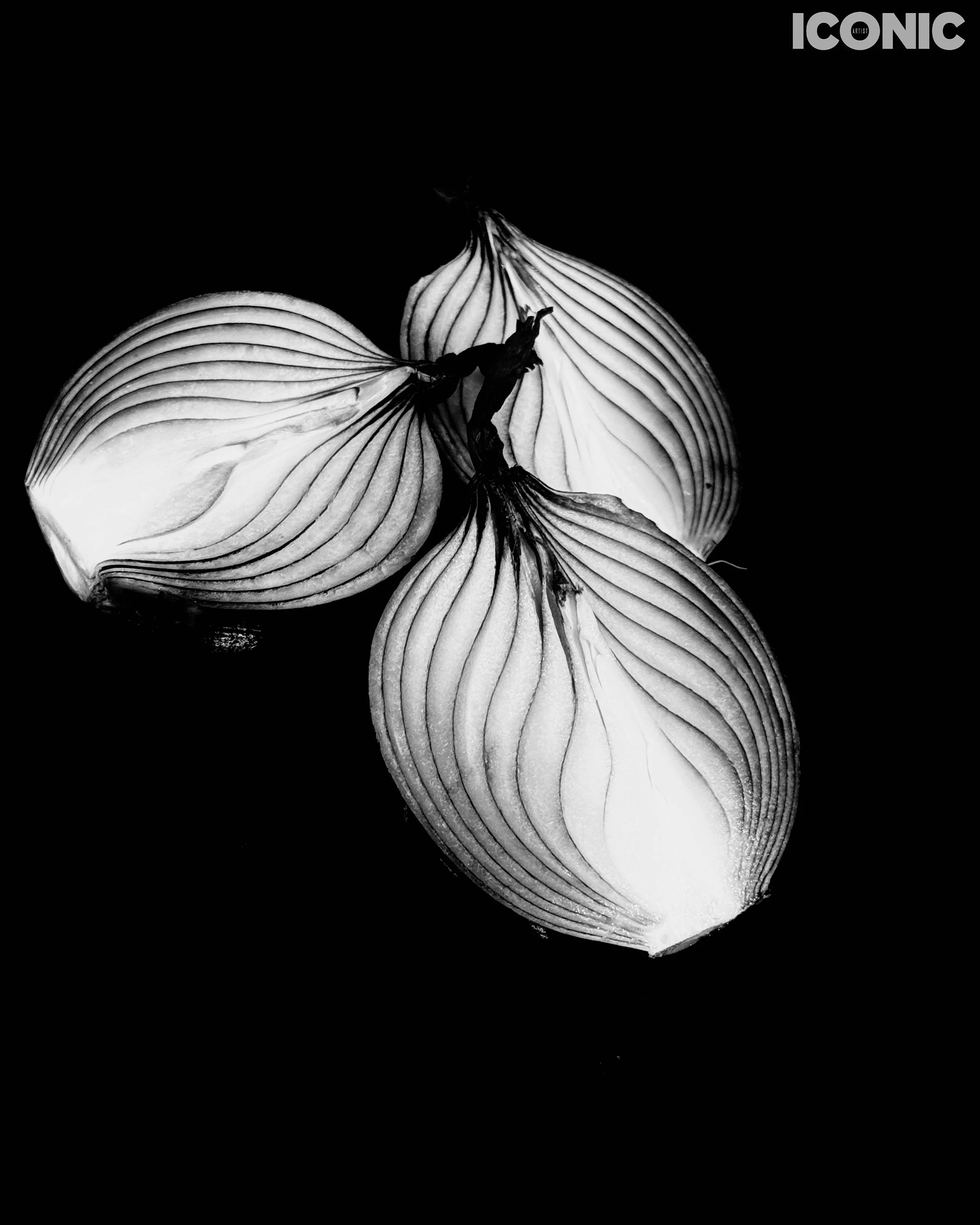 PHOTO BY
Marina Uglanova
.