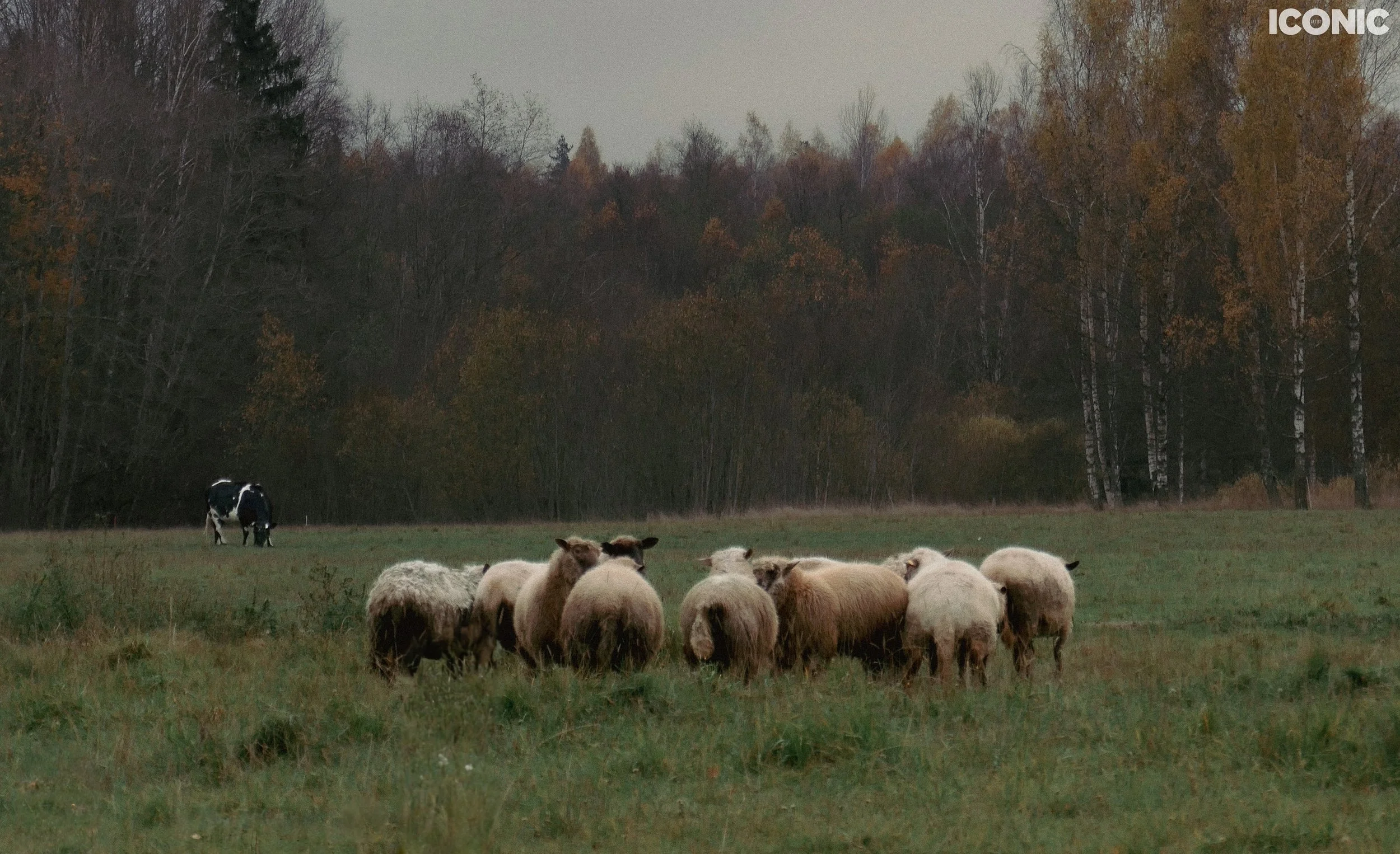 PHOTO BY
Maria Vanaga
.