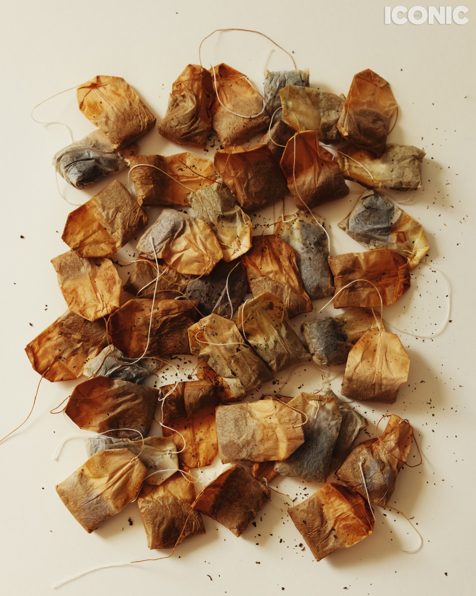 PHOTO BY
Elena Borodina
.