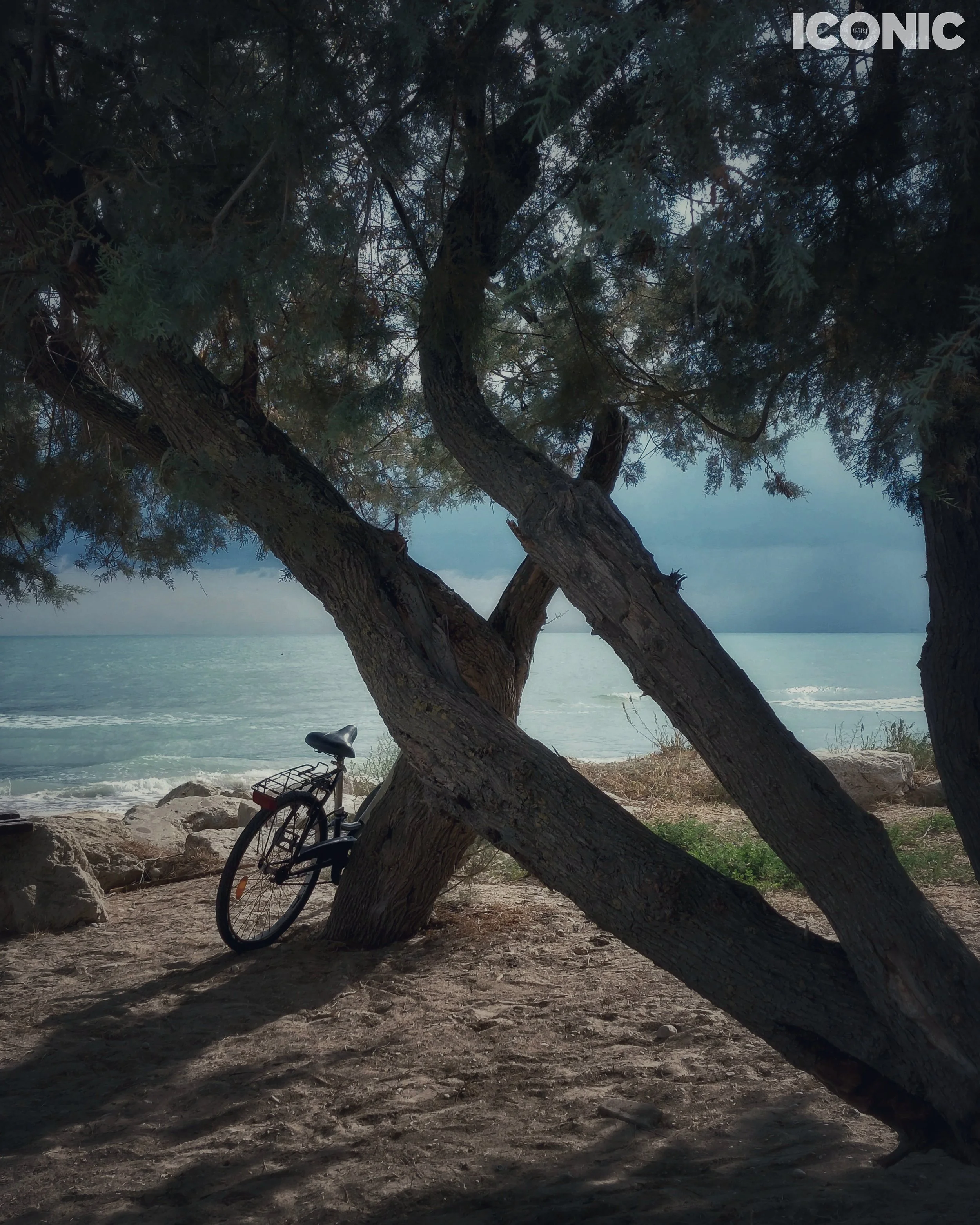 PHOTO BY
Annamaria Pinciotti
.