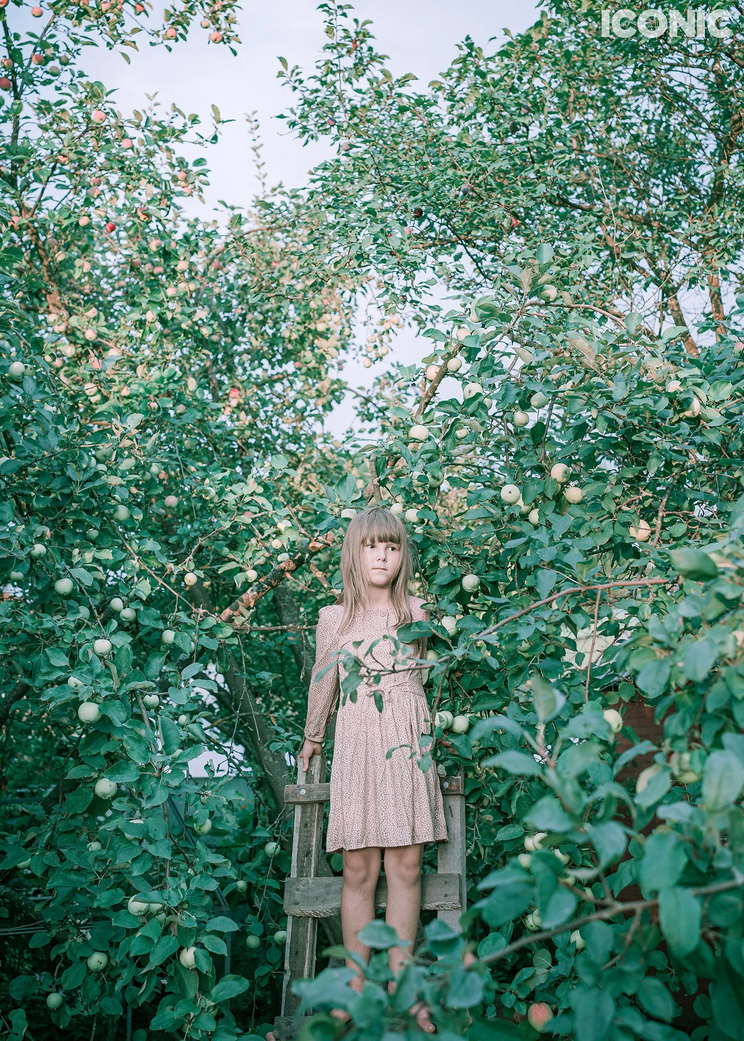 PHOTO BY
Julia Chestnova
_