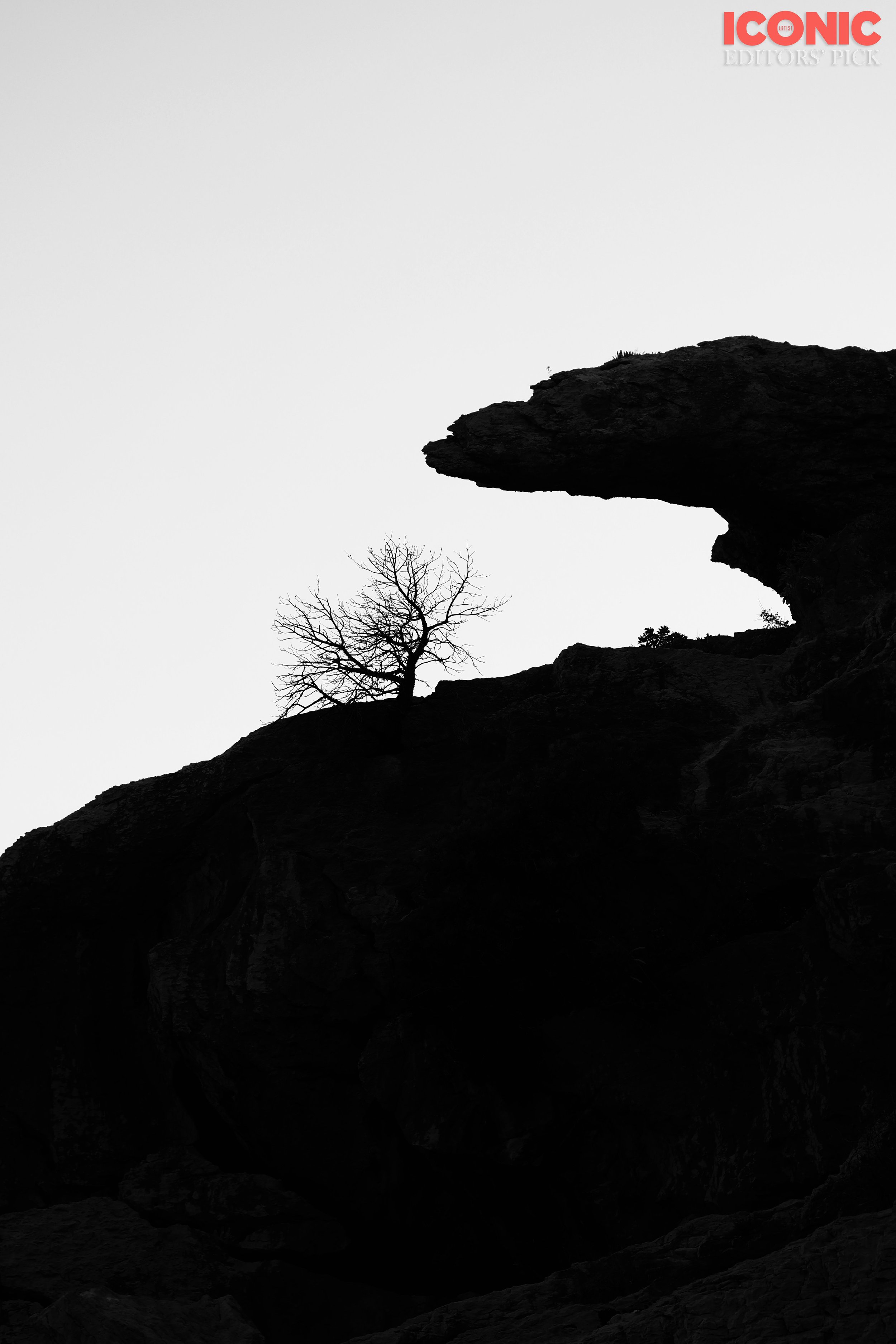 PHOTO BY
Yulia Doronina
.