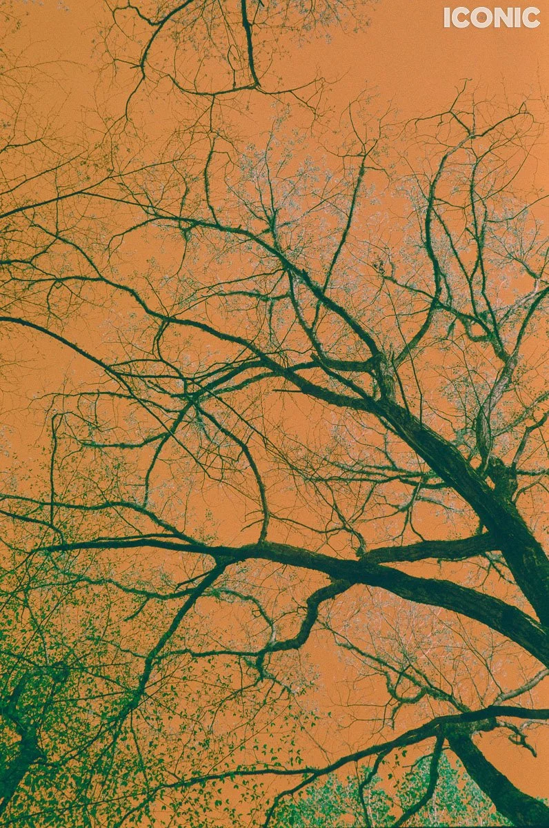 PHOTO BY
Anna Leonidov
.