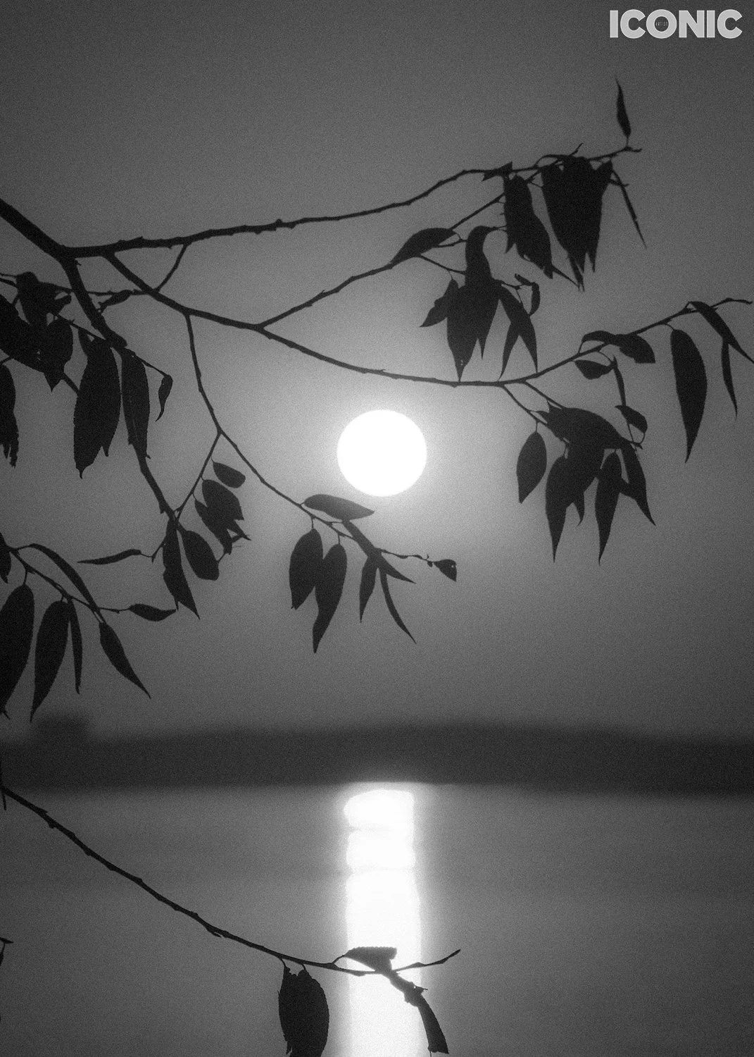 PHOTO BY
Tati Sha
_