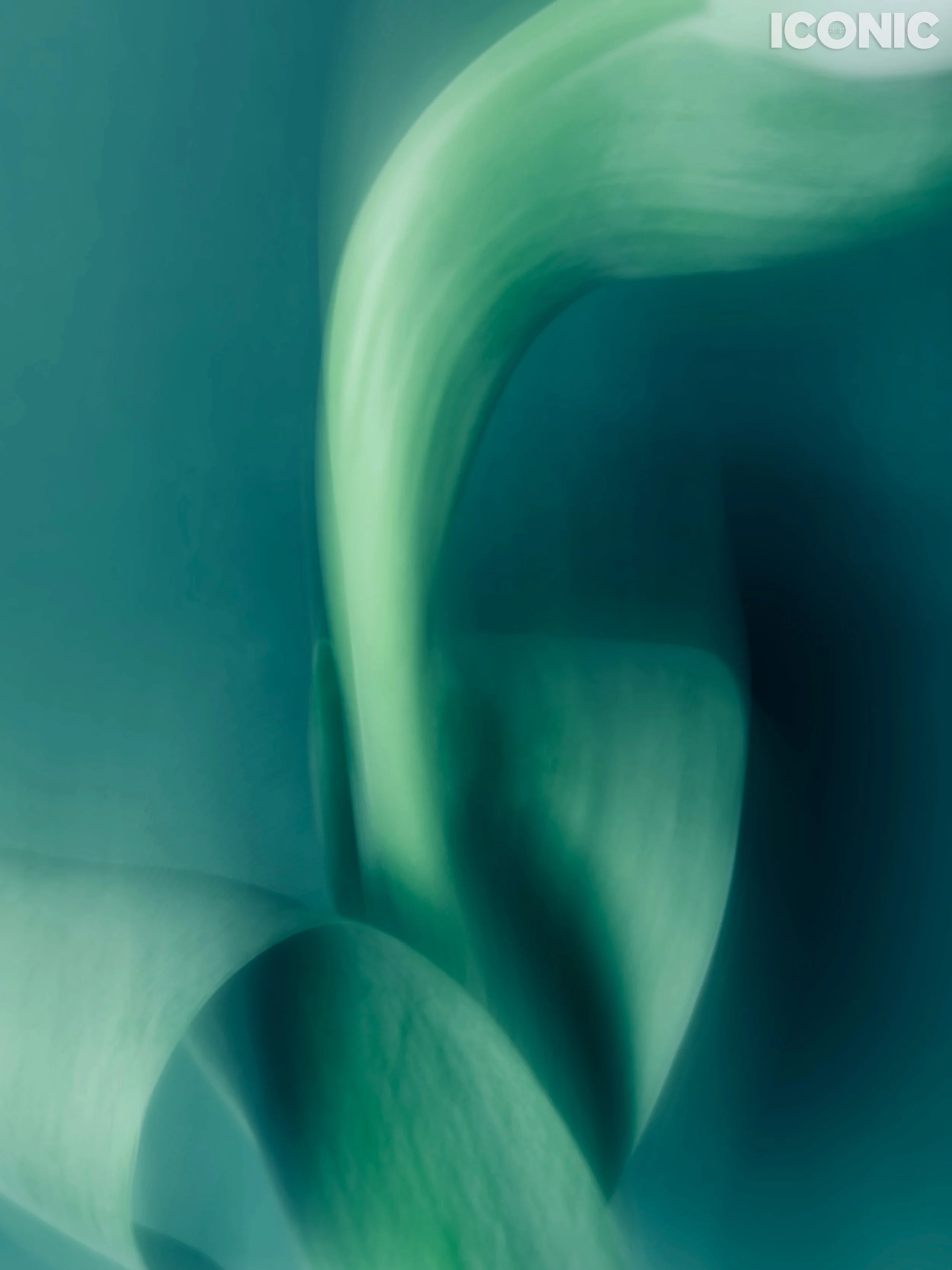 PHOTO BY
Marina Tanaeva
.