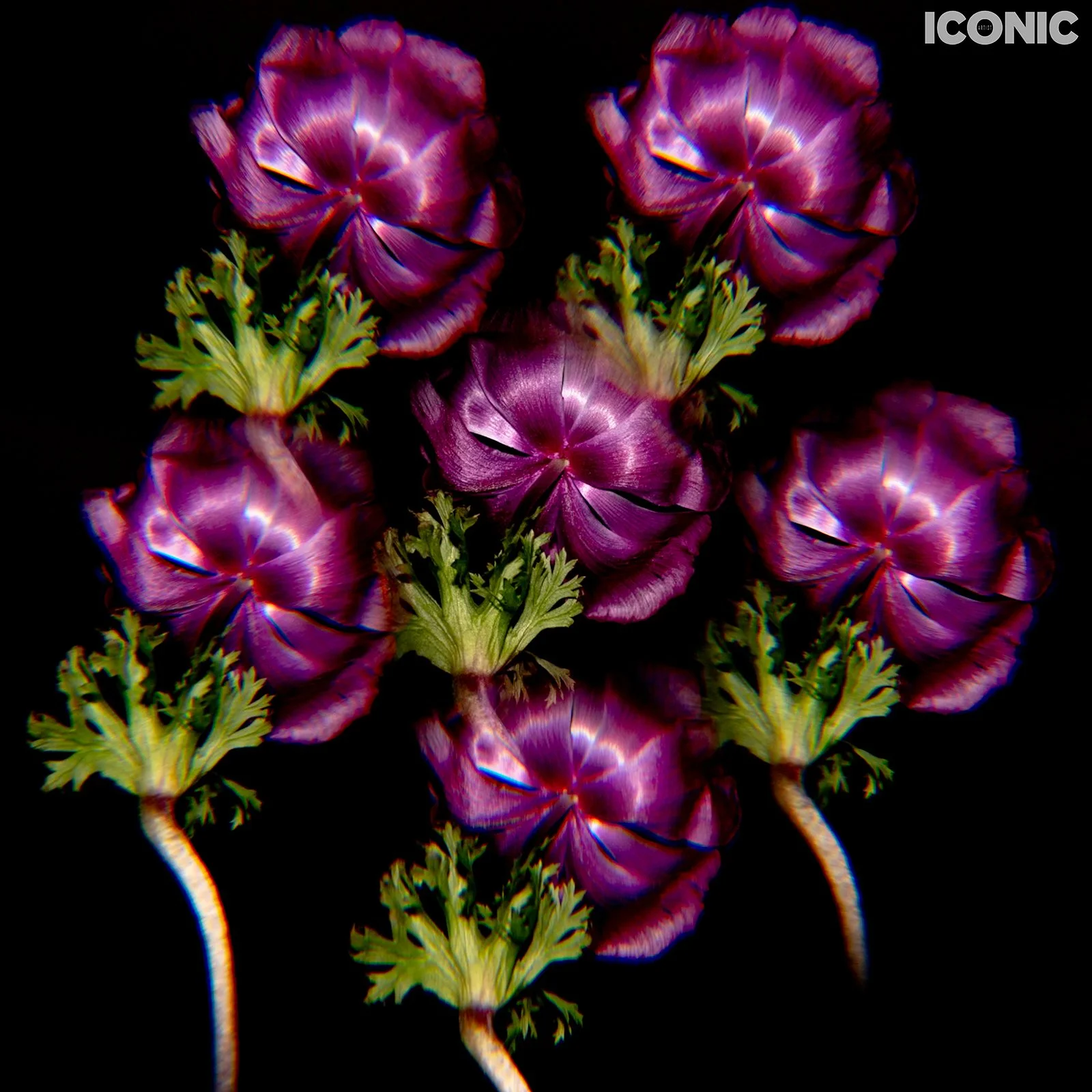 PHOTO BY
Kuchiko Nogi
.