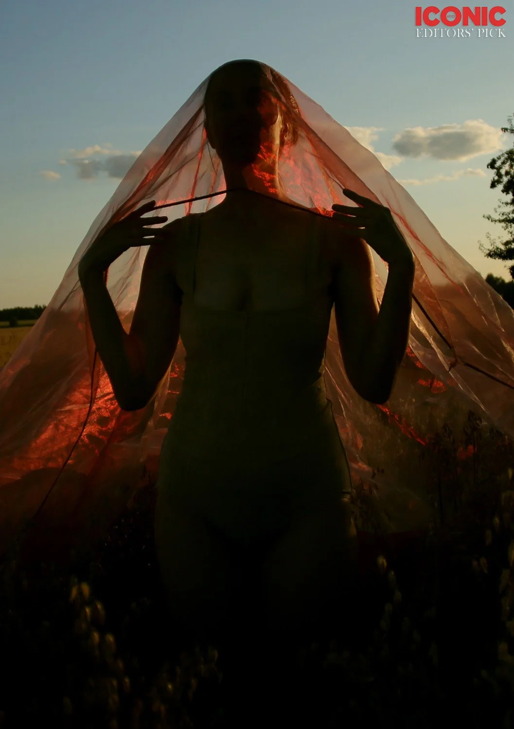 PHOTO BY
Masha Sapego
.