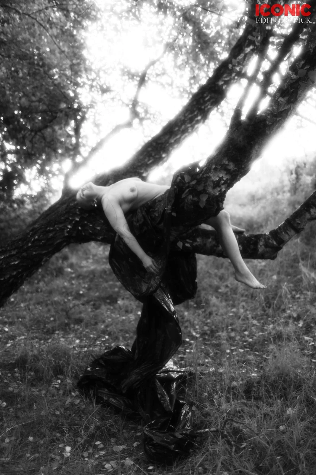 PHOTO BY
Anna Spector
.